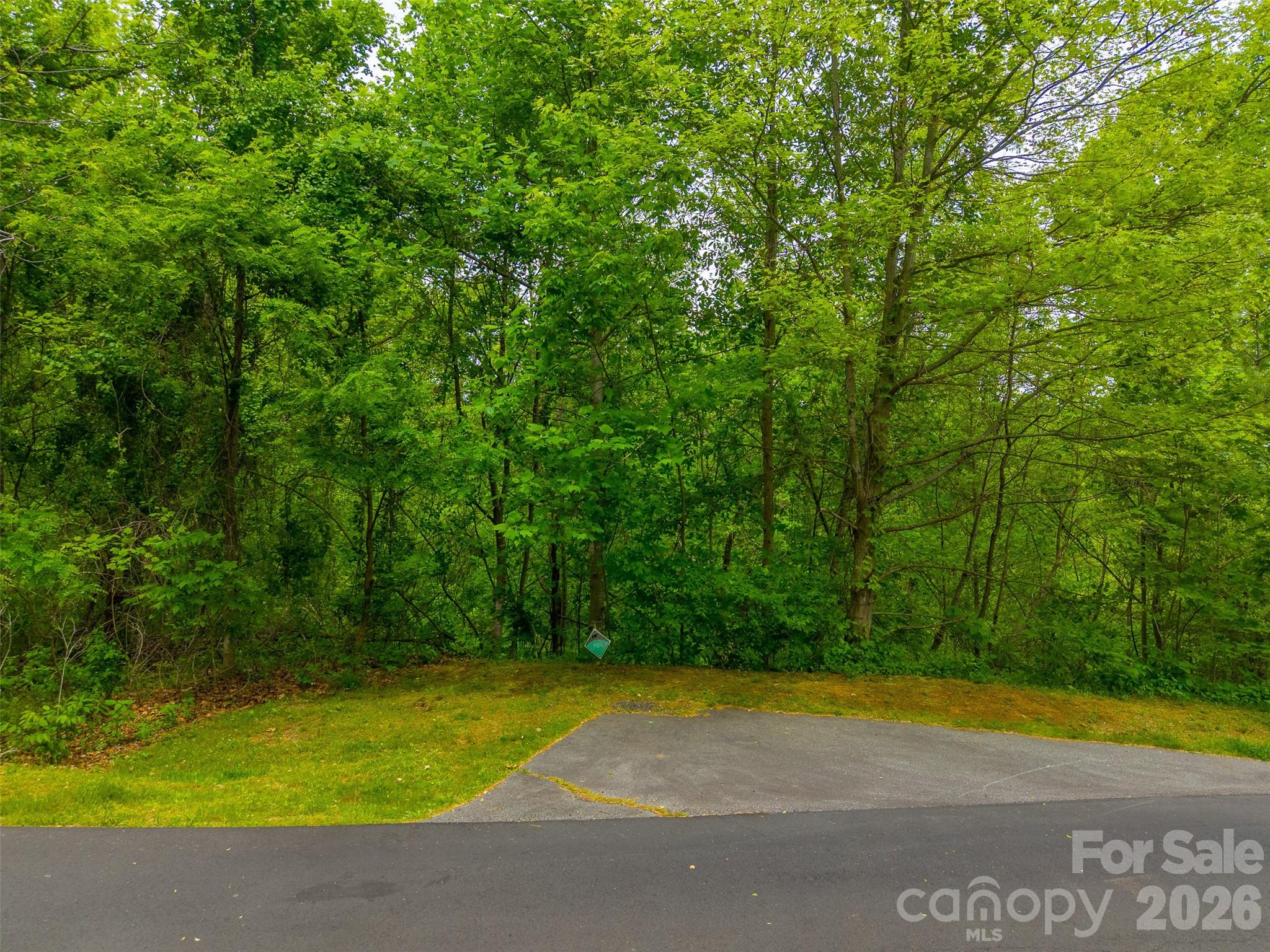 Lot 104 Campbell Mountain Drive Property Photo 15