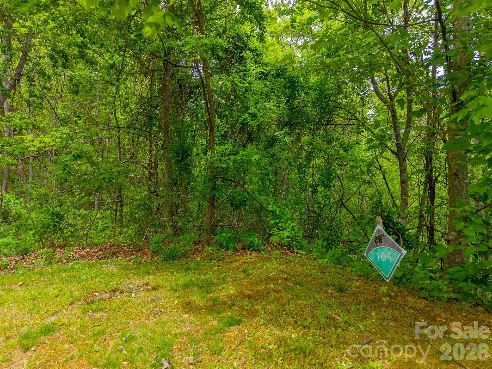 Lot 104 Campbell Mountain Drive Property Photo 17