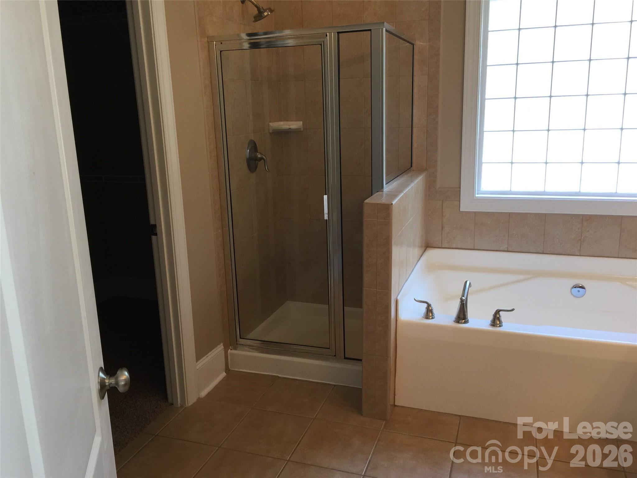 15318 S Birkdale Commons Parkway Property Photo 11