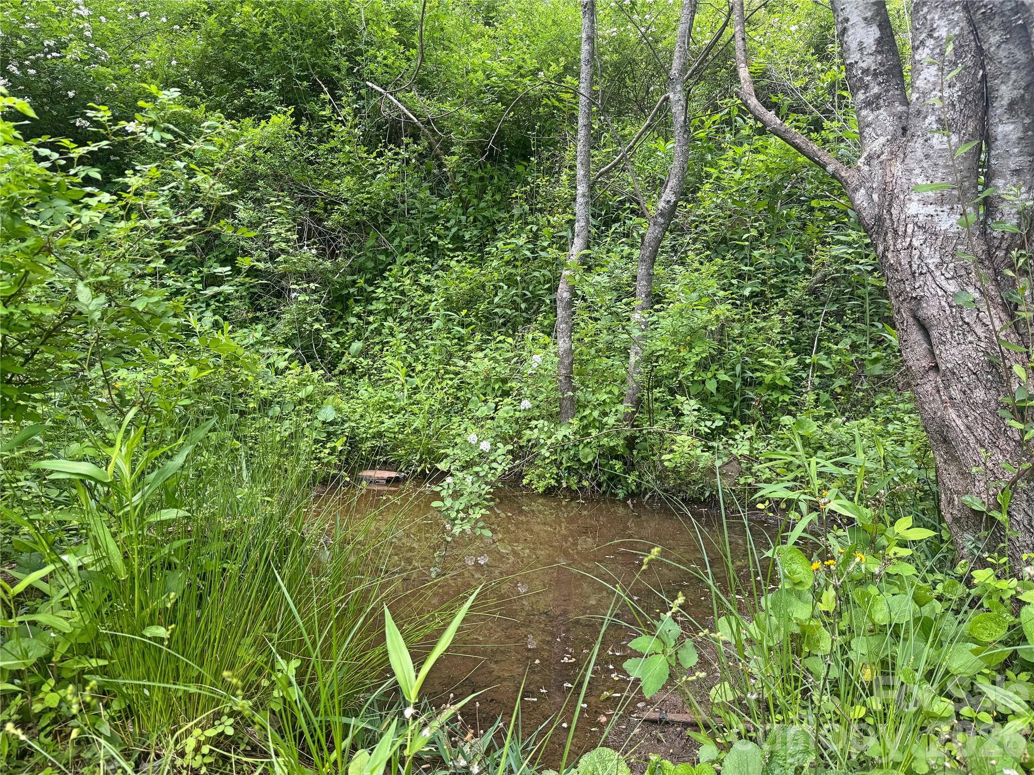 V/l Wolf Crossing Property Photo 6