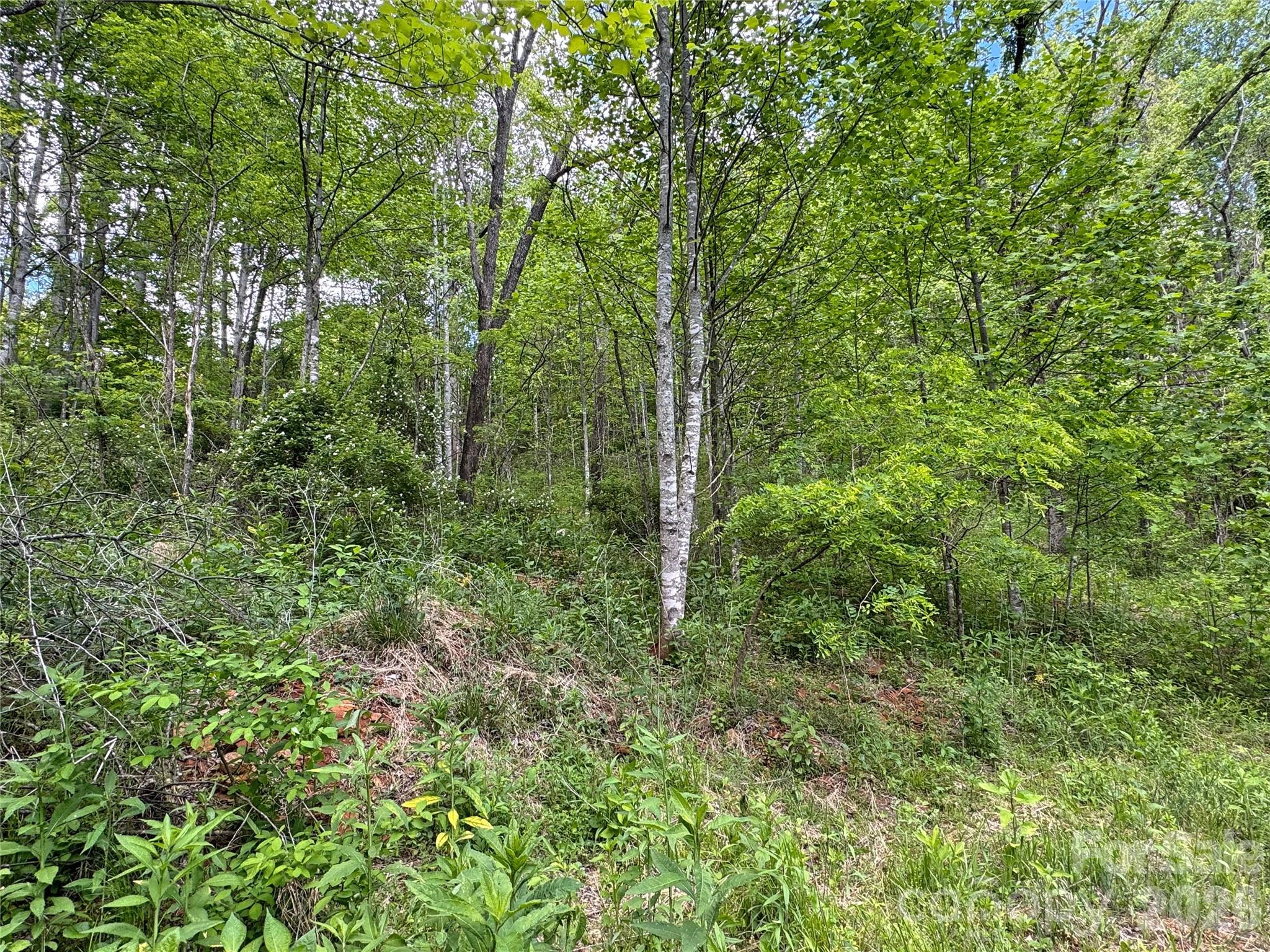 V/l Wolf Crossing Property Photo 15
