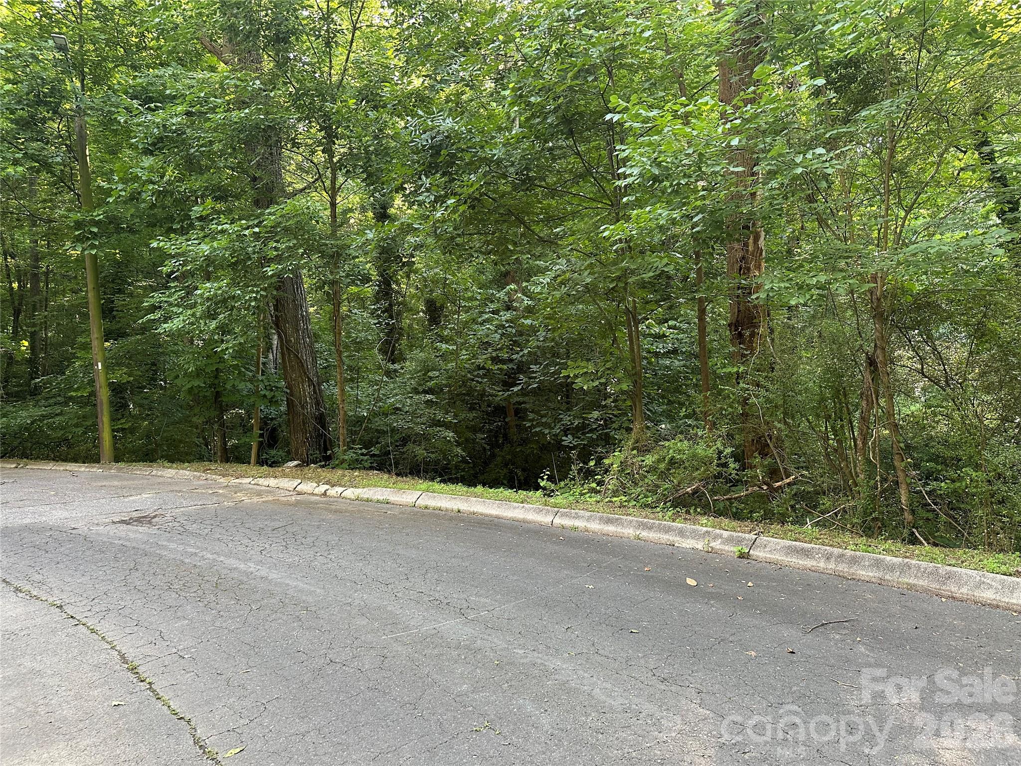 0 Briarcliff Road Property Photo 6