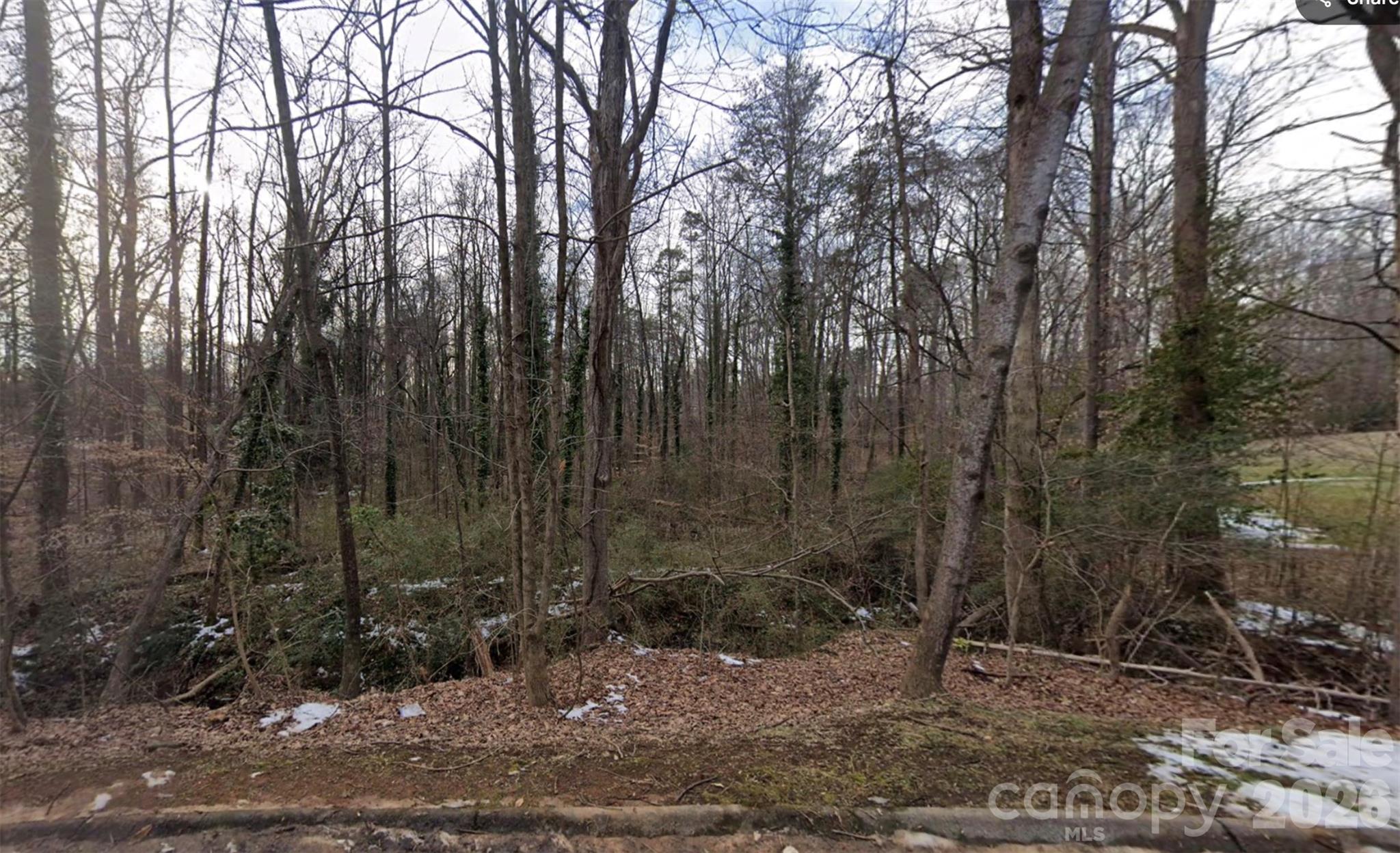 0 Briarcliff Road Property Photo 8