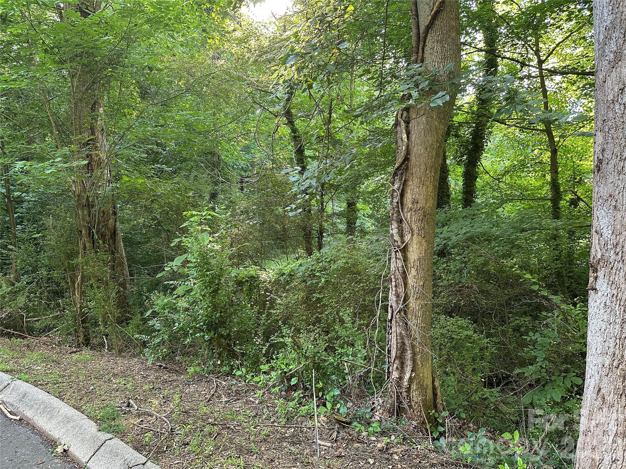 0 Briarcliff Road Property Photo 10