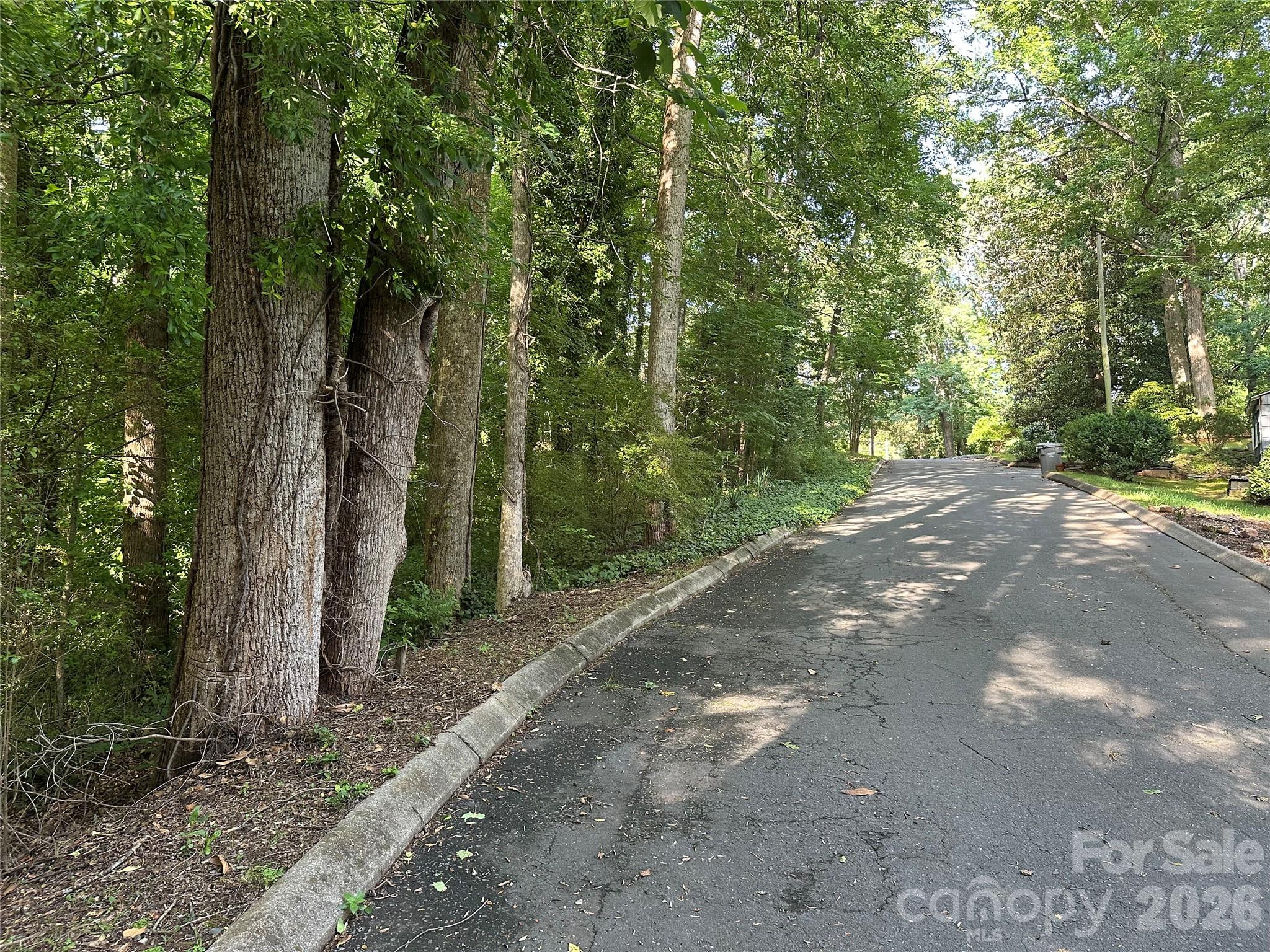 0 Briarcliff Road Property Photo 11