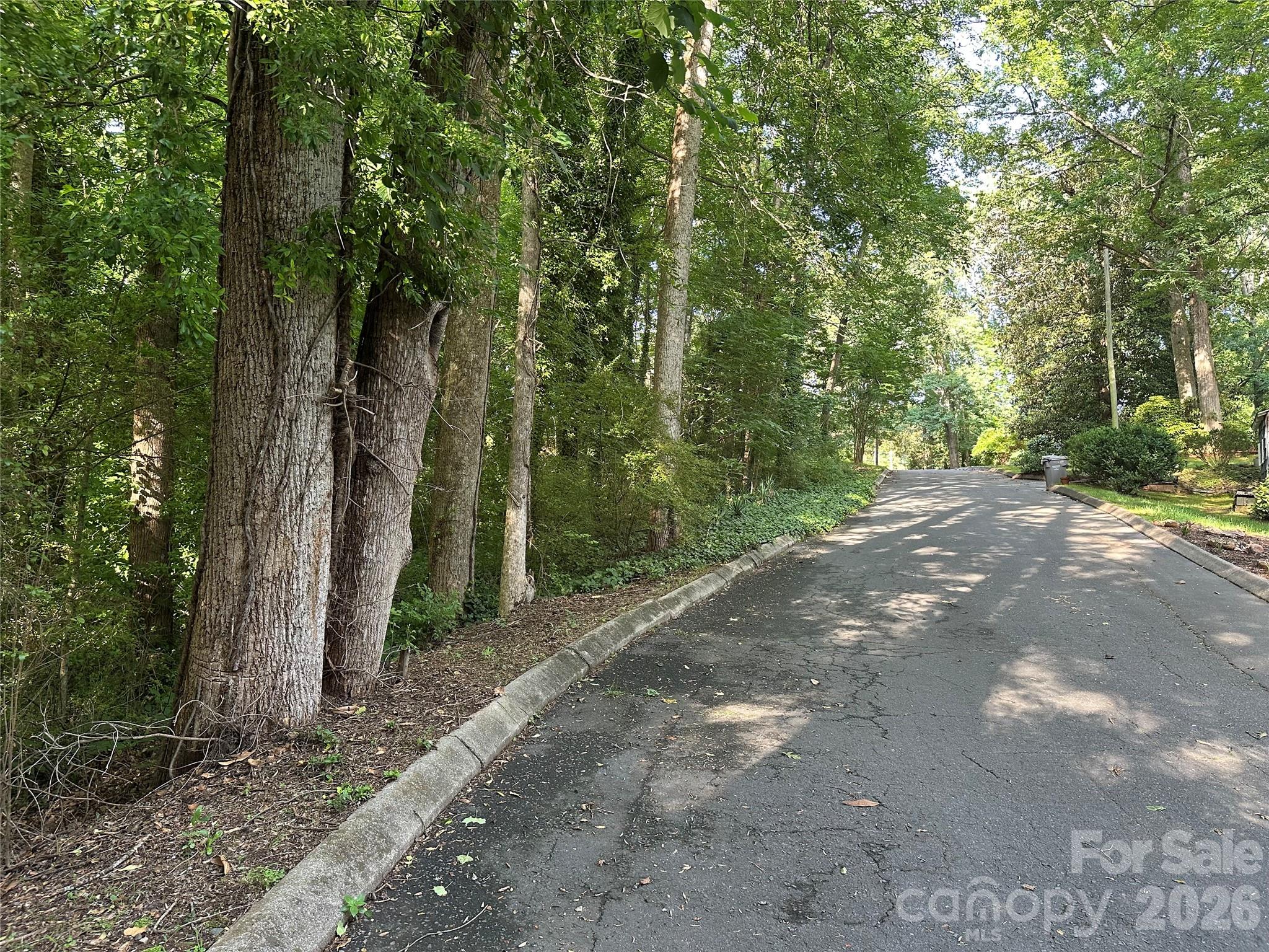 0 Briarcliff Road Property Photo 12