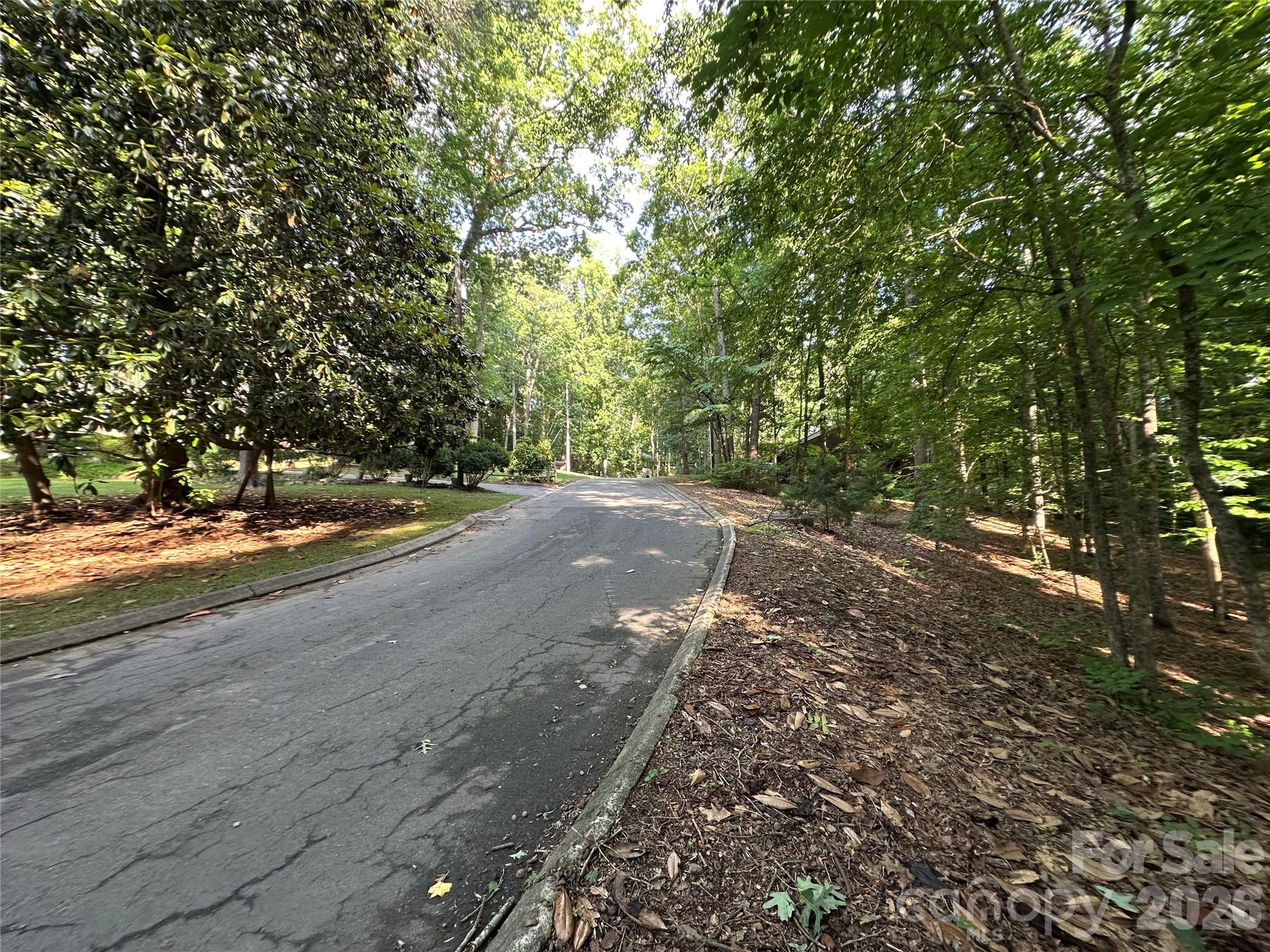 0 Briarcliff Road Property Photo 14