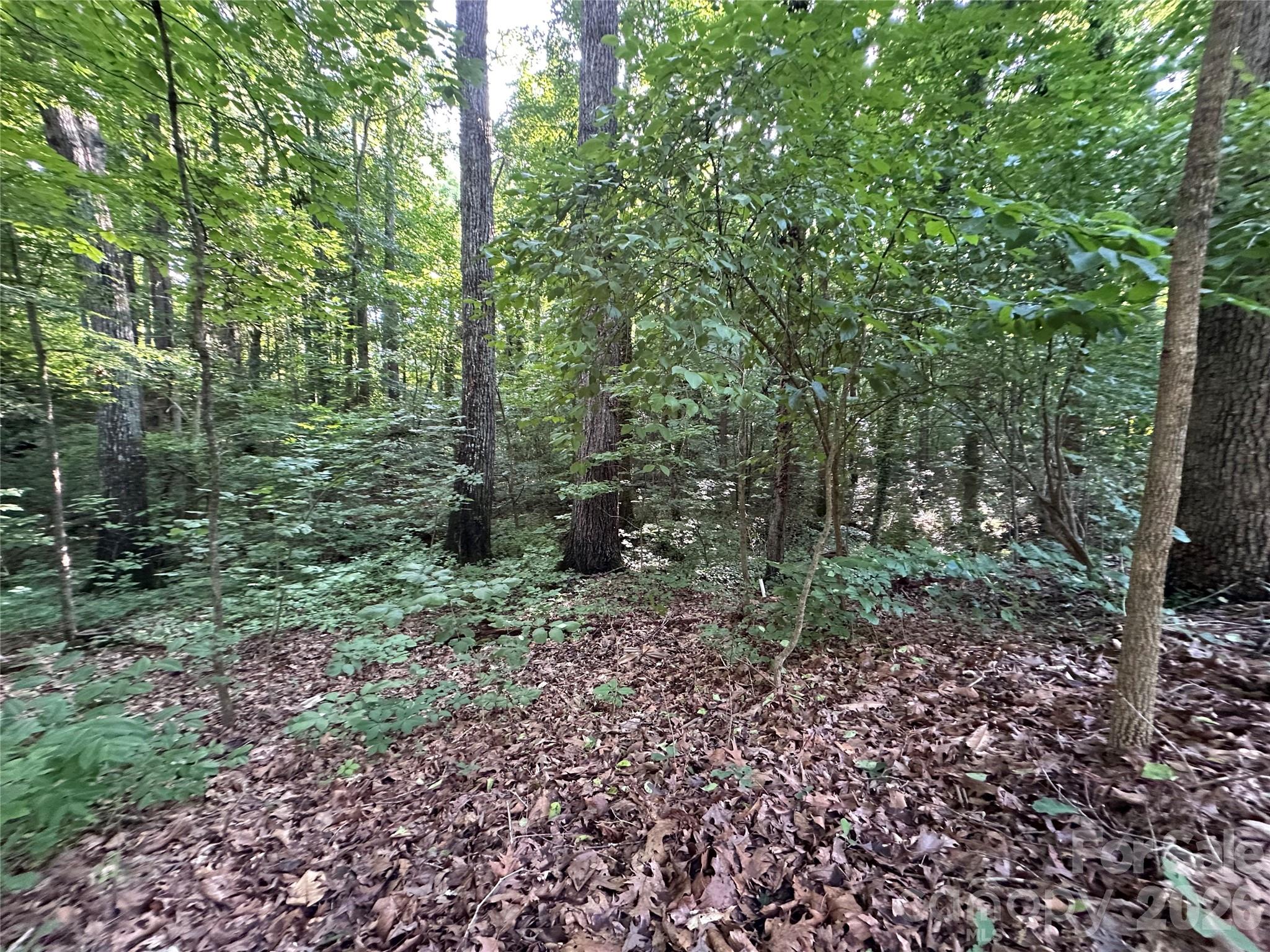 0 Briarcliff Road Property Photo 15