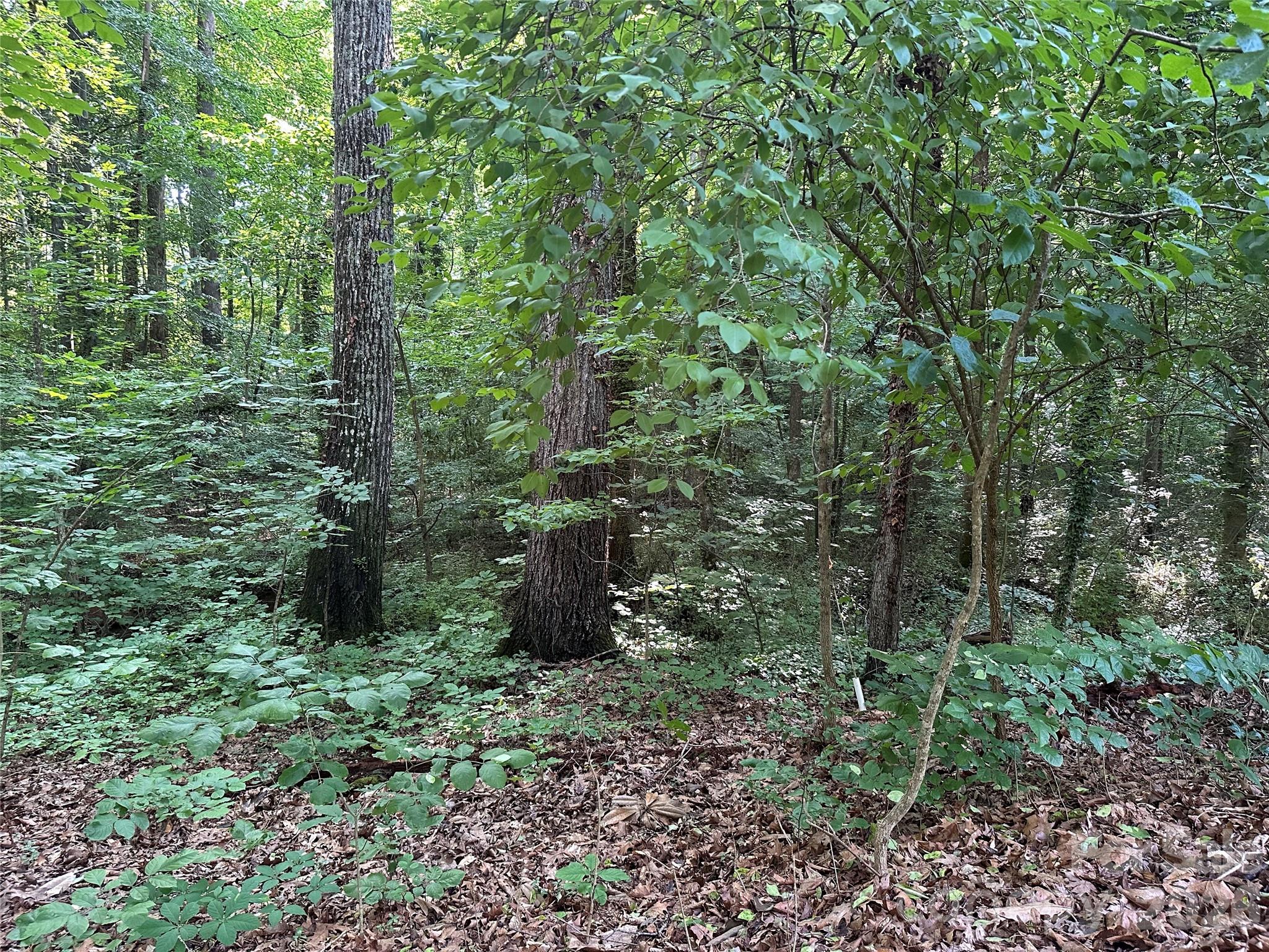 0 Briarcliff Road Property Photo 16