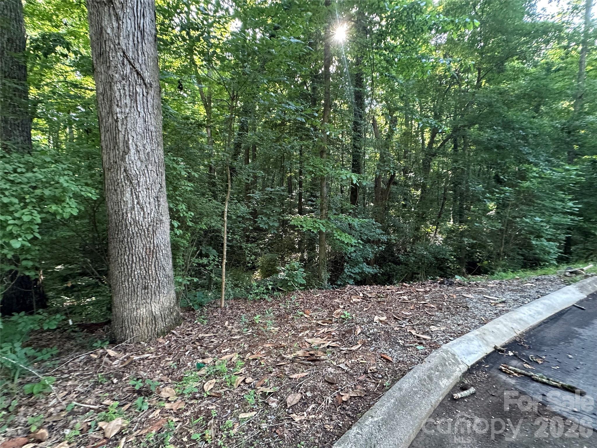 0 Briarcliff Road Property Photo 17