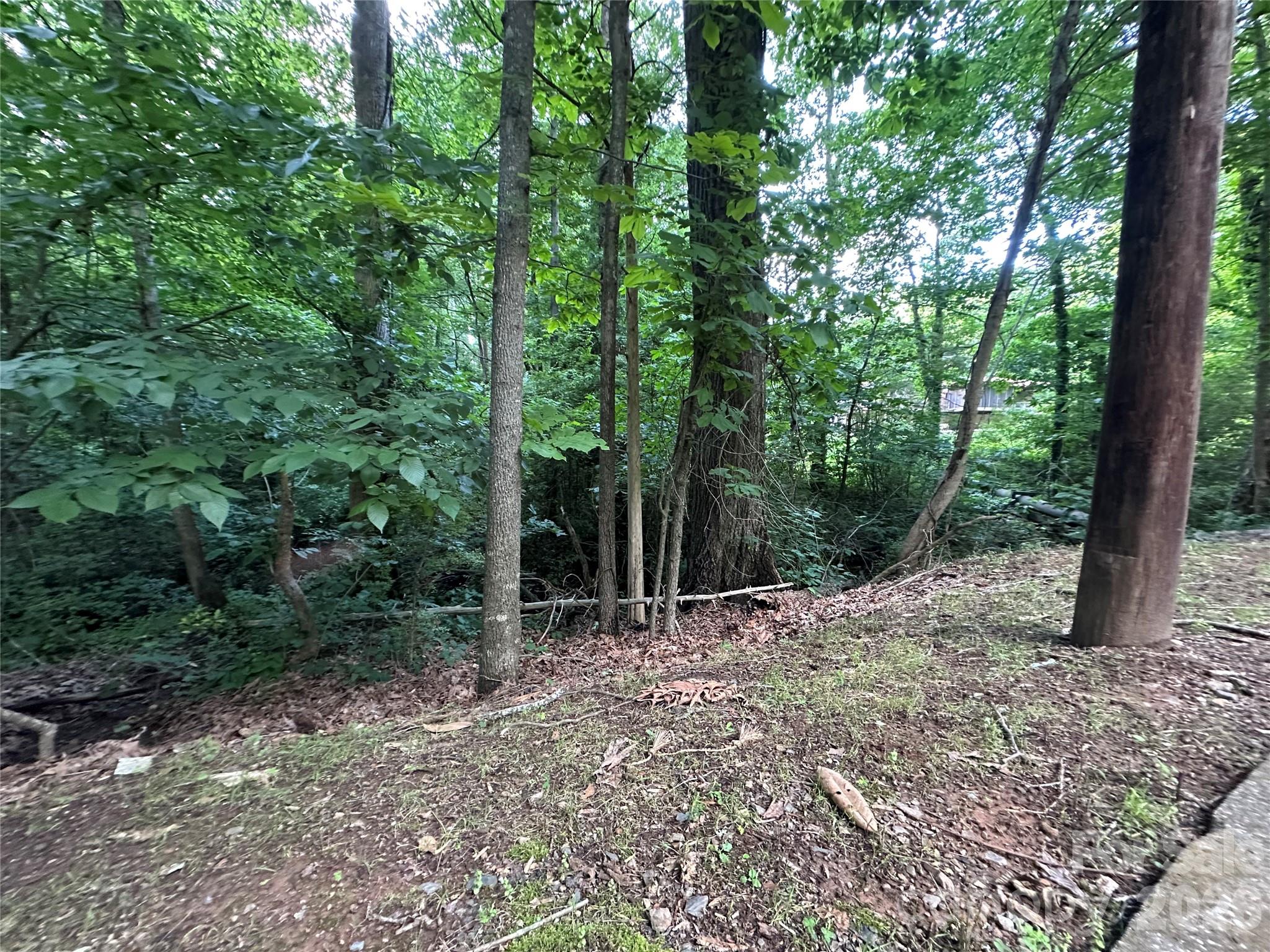 0 Briarcliff Road Property Photo 18