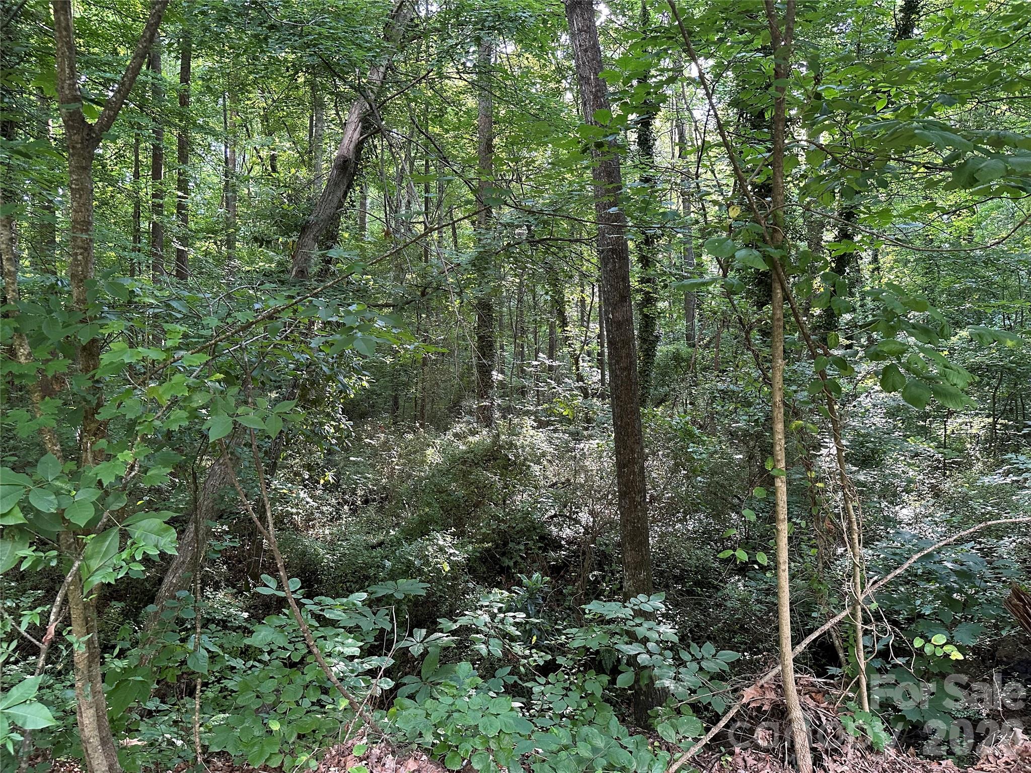 0 Briarcliff Road Property Photo 19