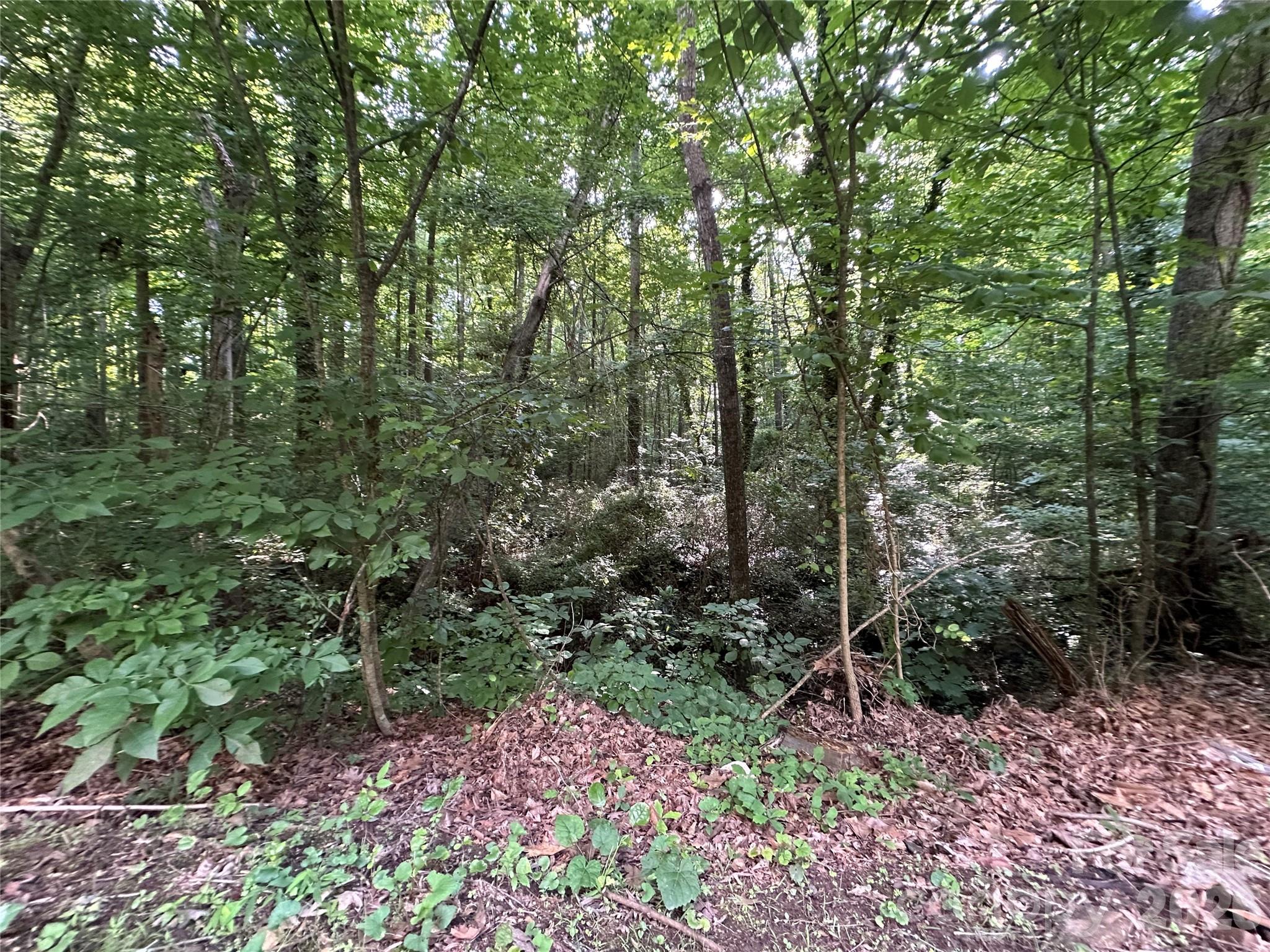 0 Briarcliff Road Property Photo 20