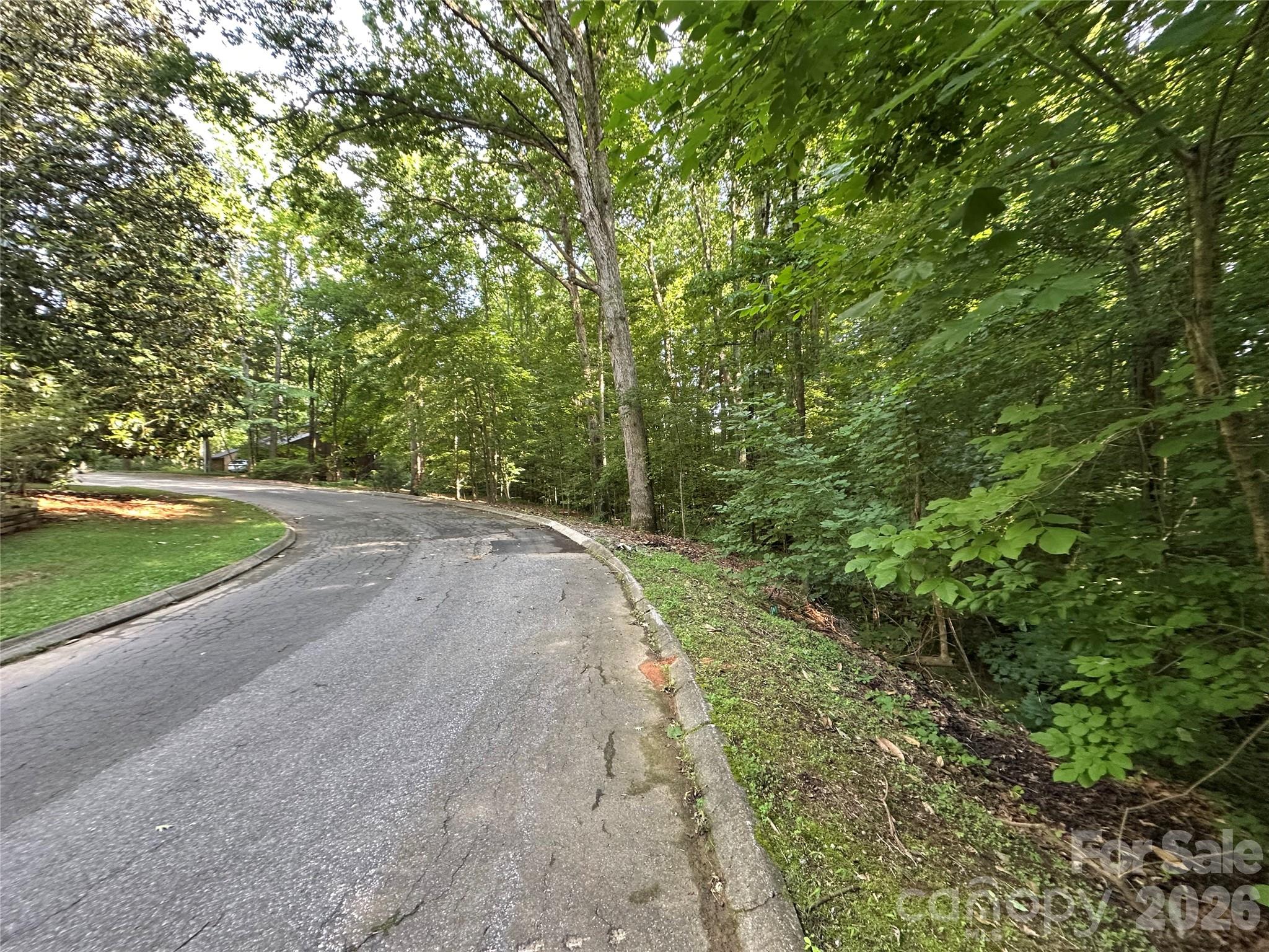 0 Briarcliff Road Property Photo 21