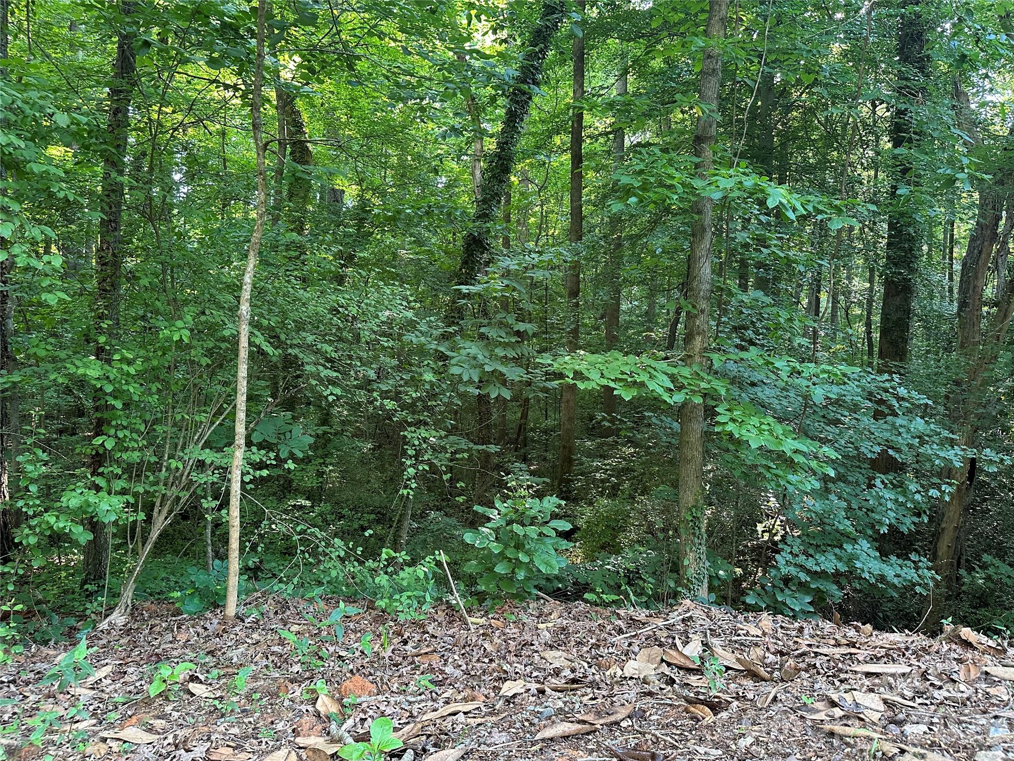 0 Briarcliff Road Property Photo 22