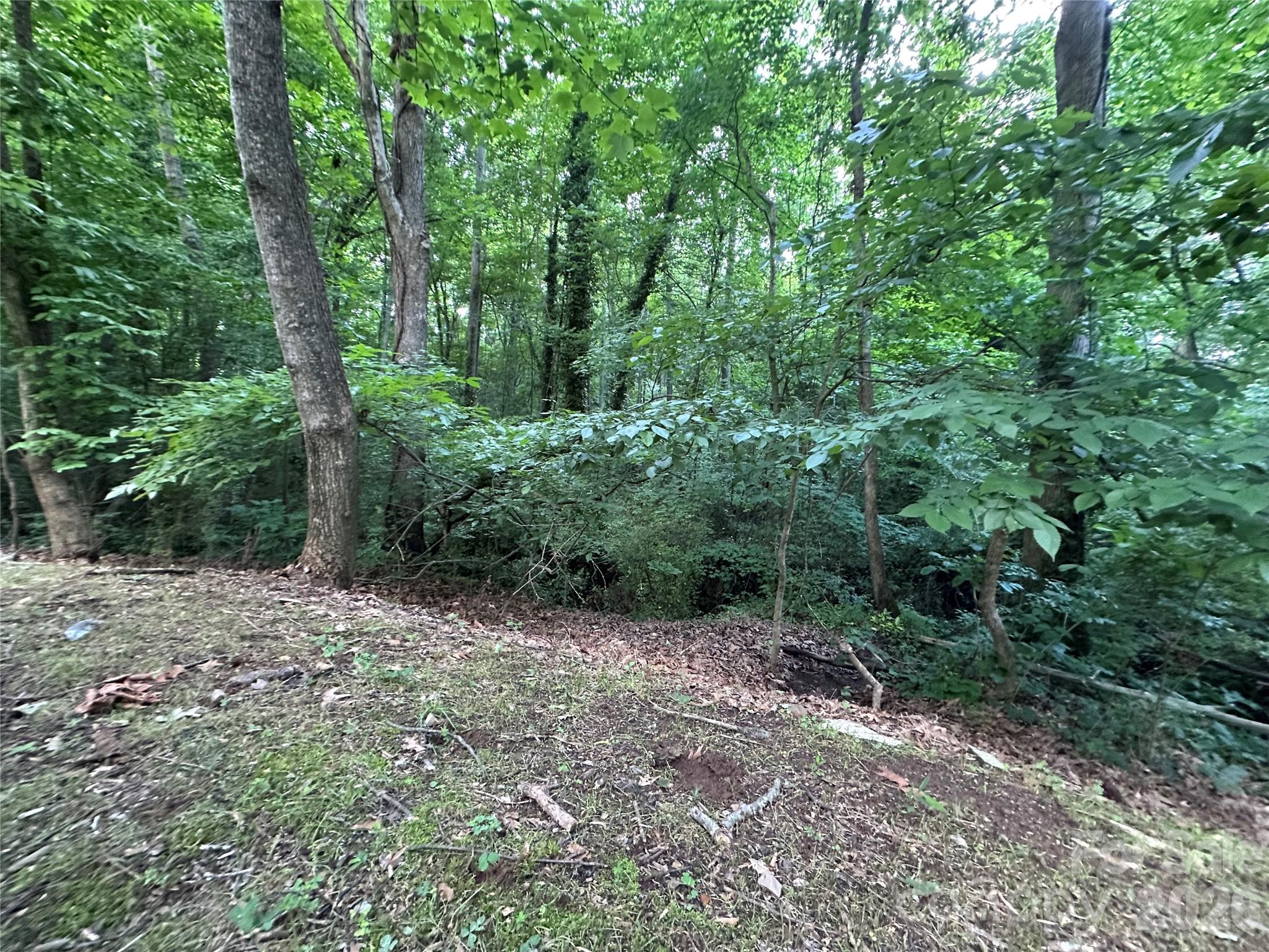 0 Briarcliff Road Property Photo 23