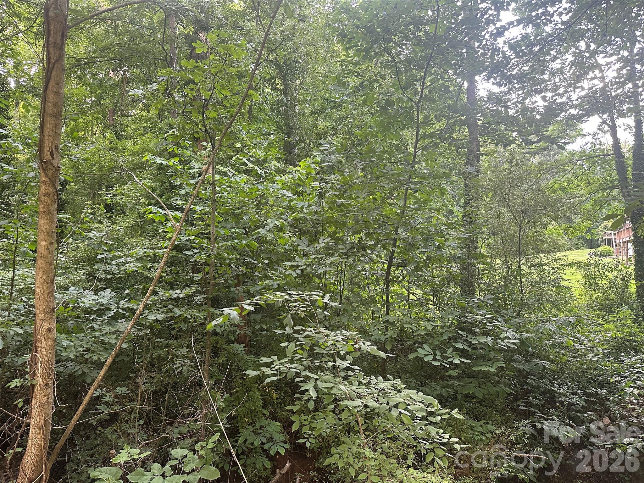 0 Briarcliff Road Property Photo 24