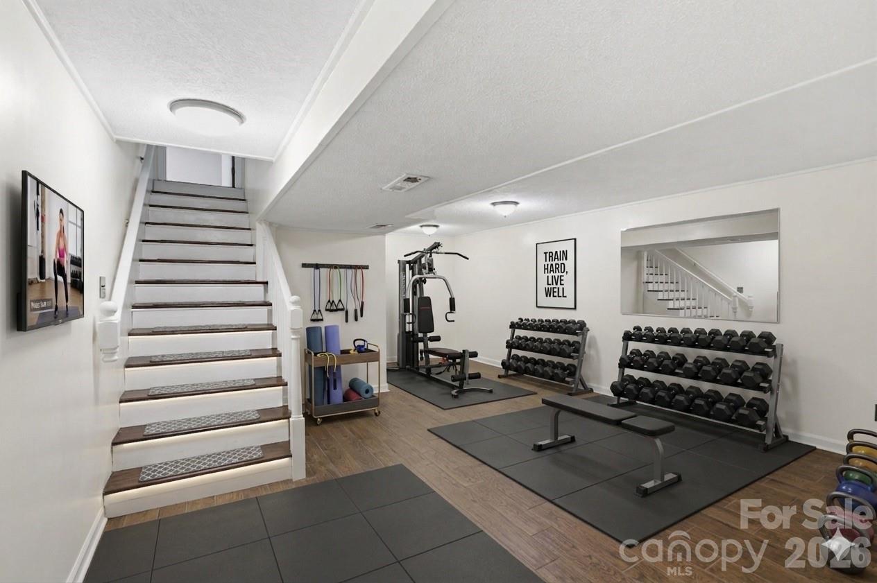 38 Nixon Terrace Property Photo 26