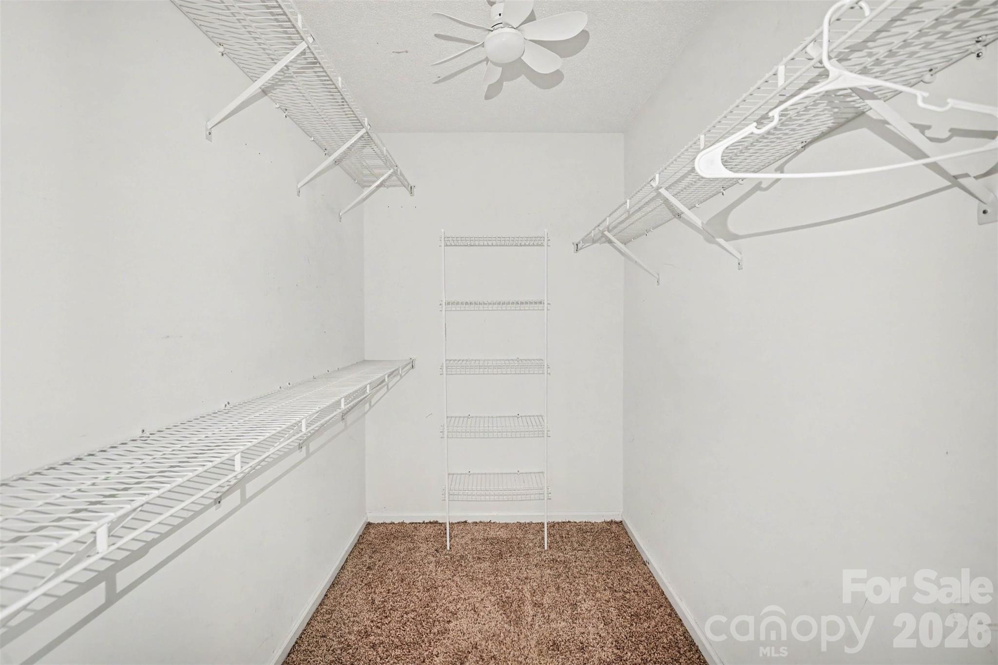 10026 Dauphine Drive Property Photo 34