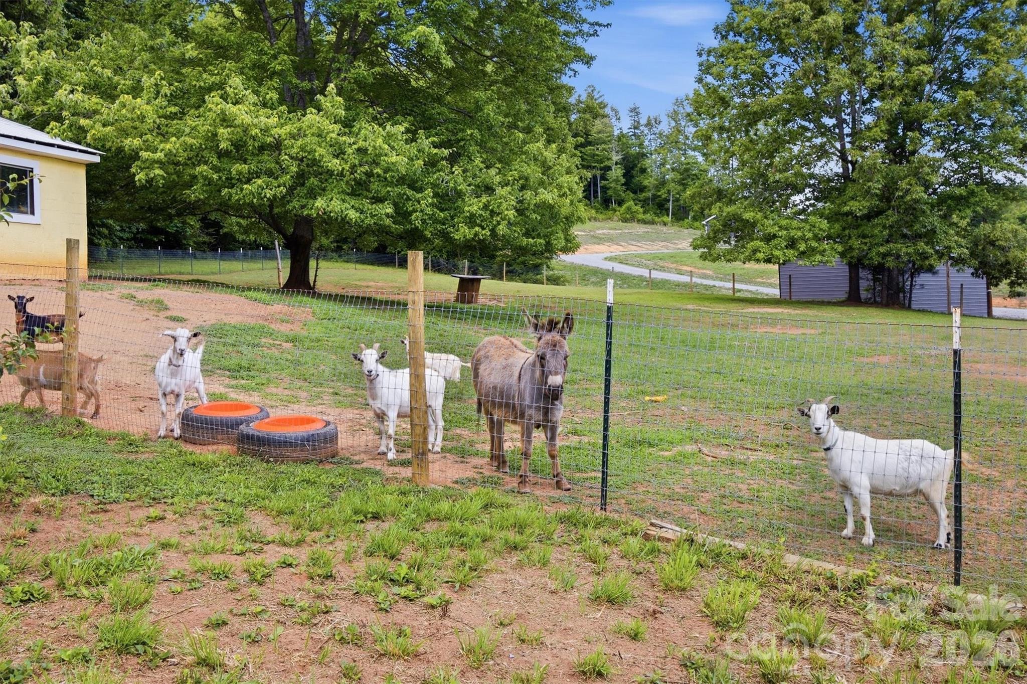 360 Johnson Caldwell Road Property Photo 4