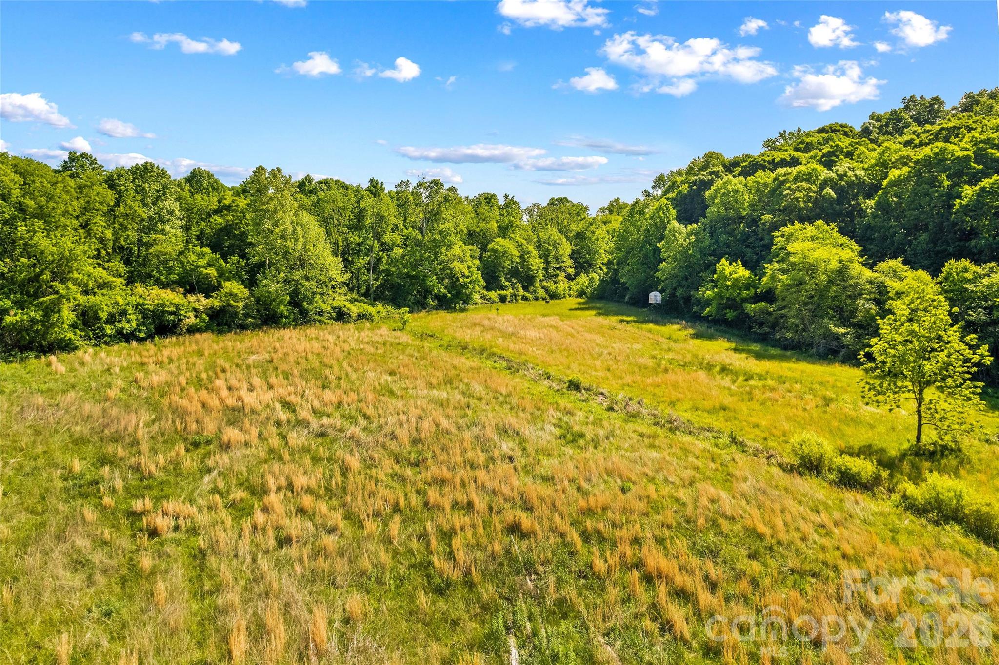 711 Spring Pointe Drive Property Photo 41