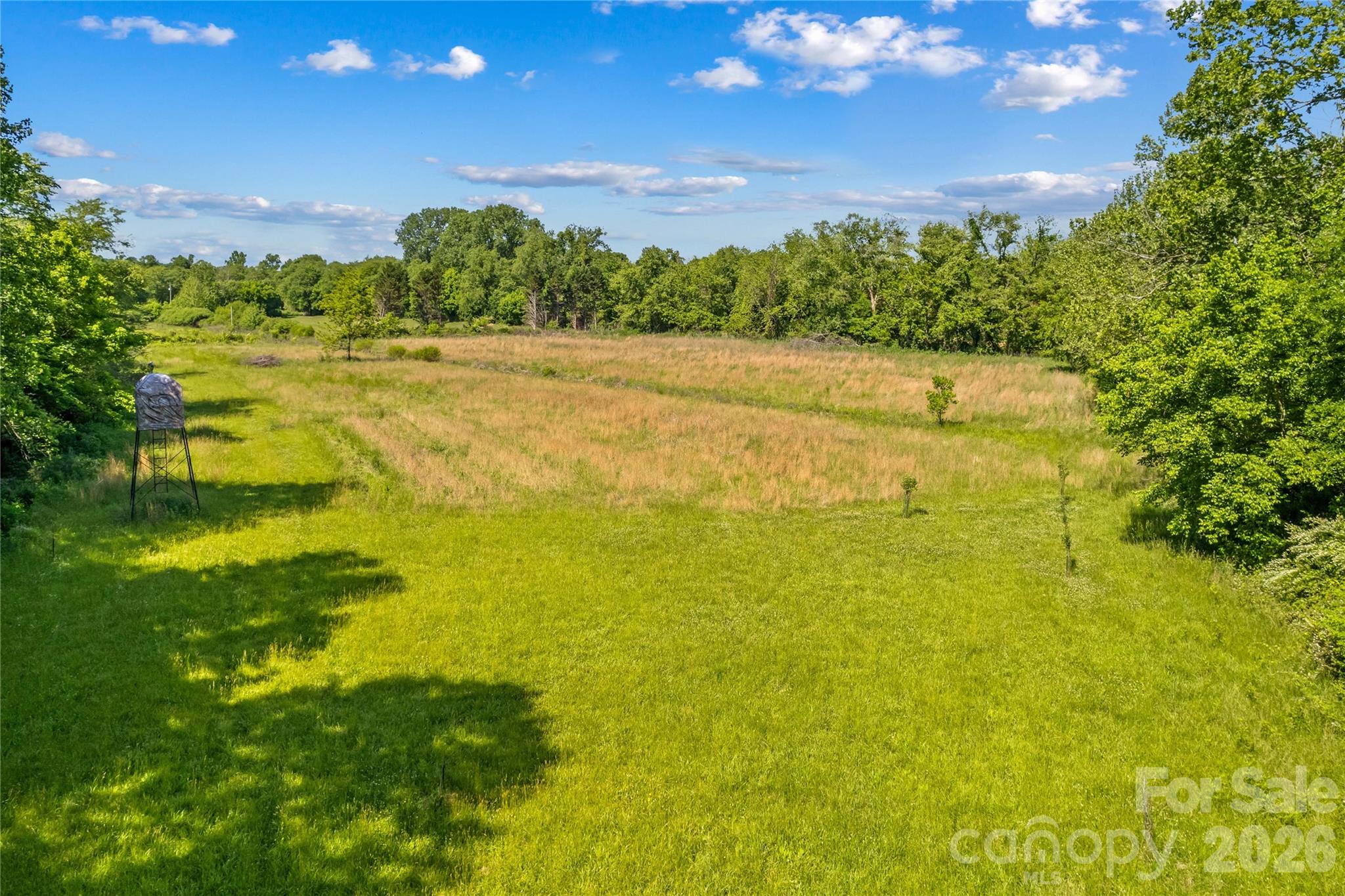711 Spring Pointe Drive Property Photo 43