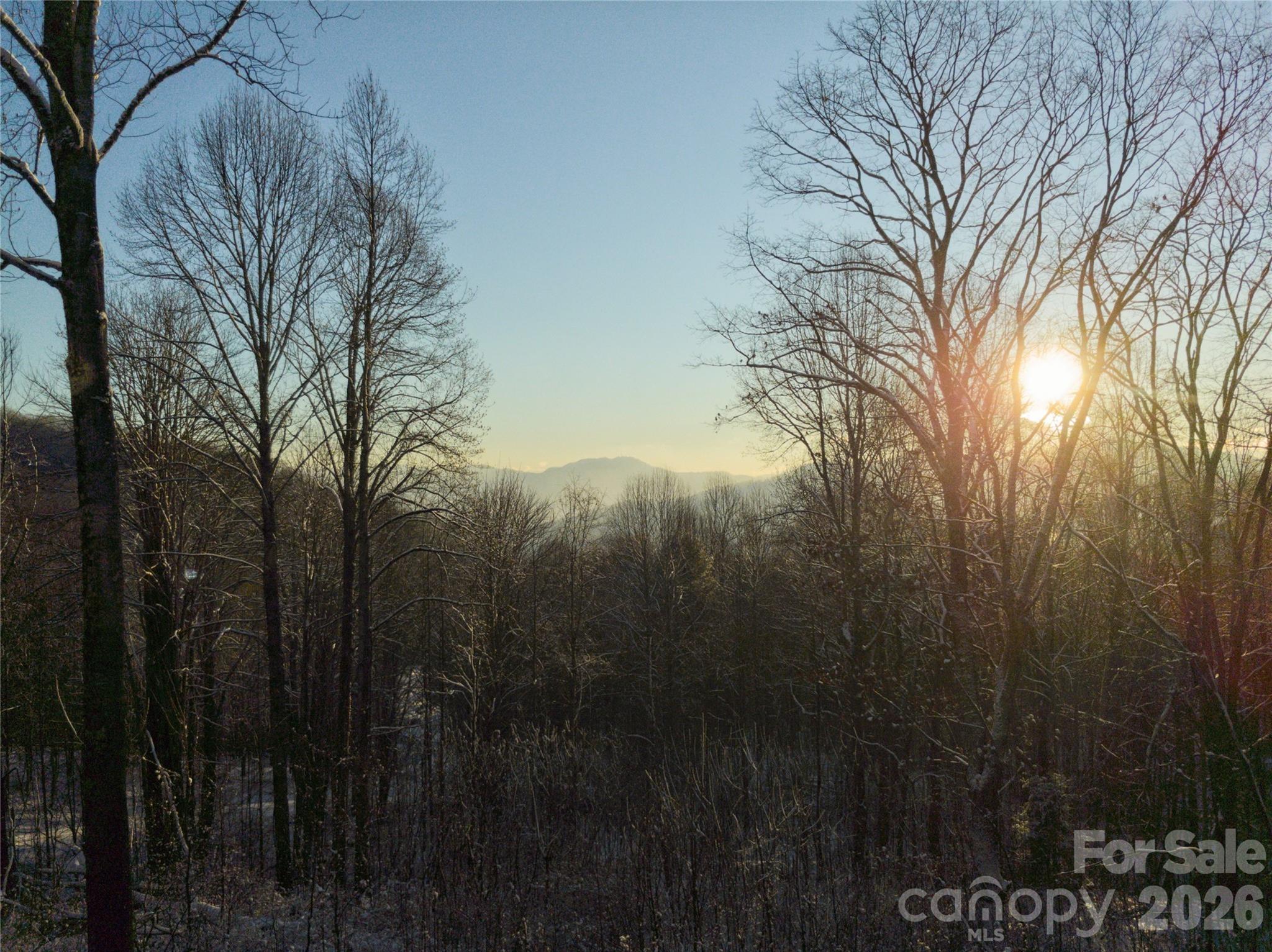 1621 Upward Way Property Photo 24