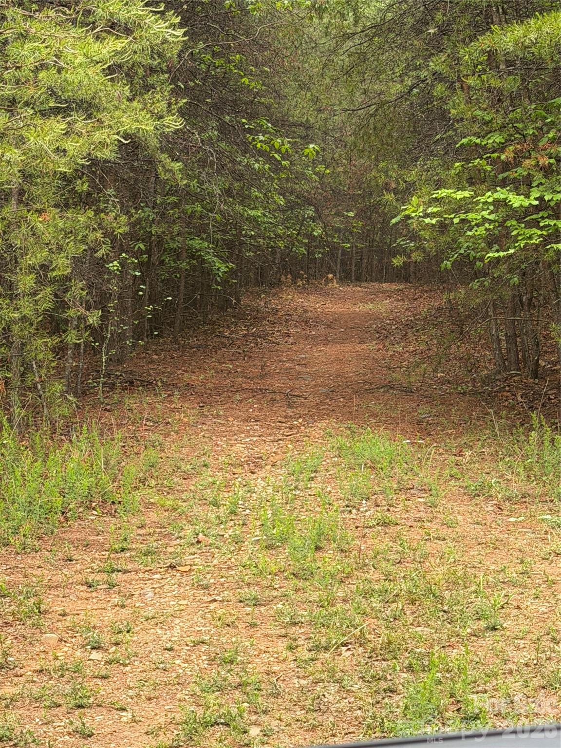 Tract 2 Hill Road Property Photo 6