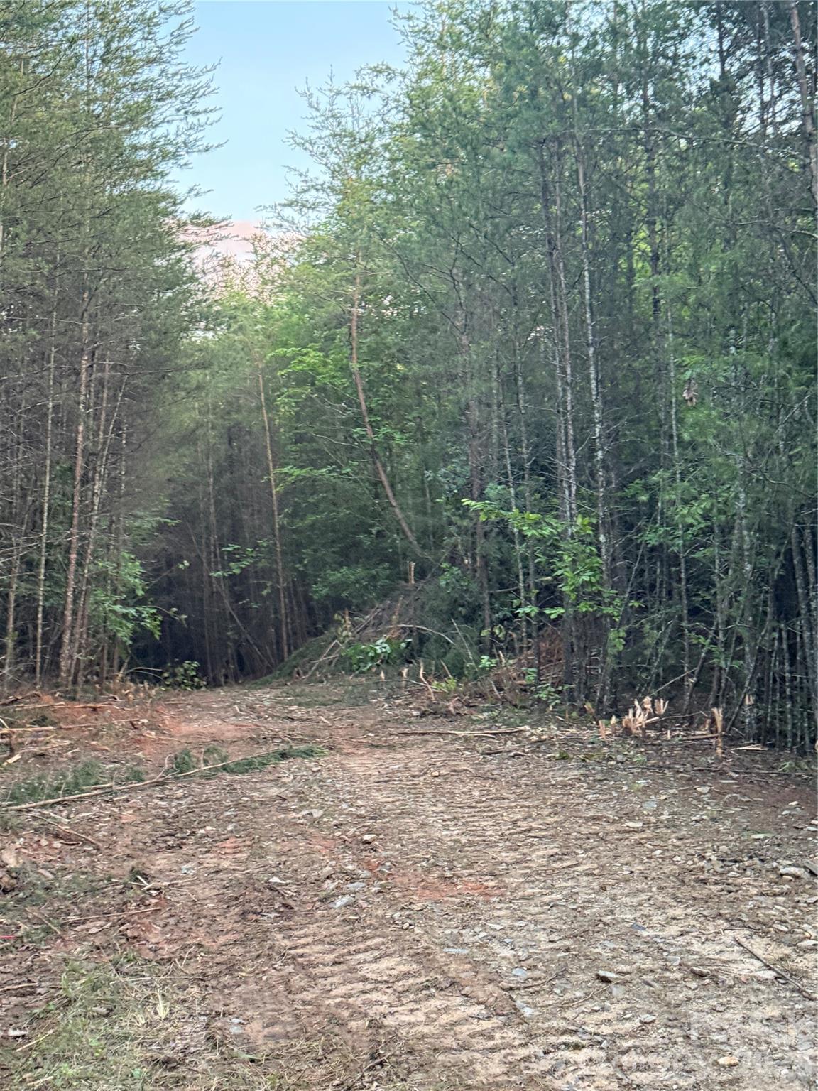 Tract 2 Hill Road Property Photo 9