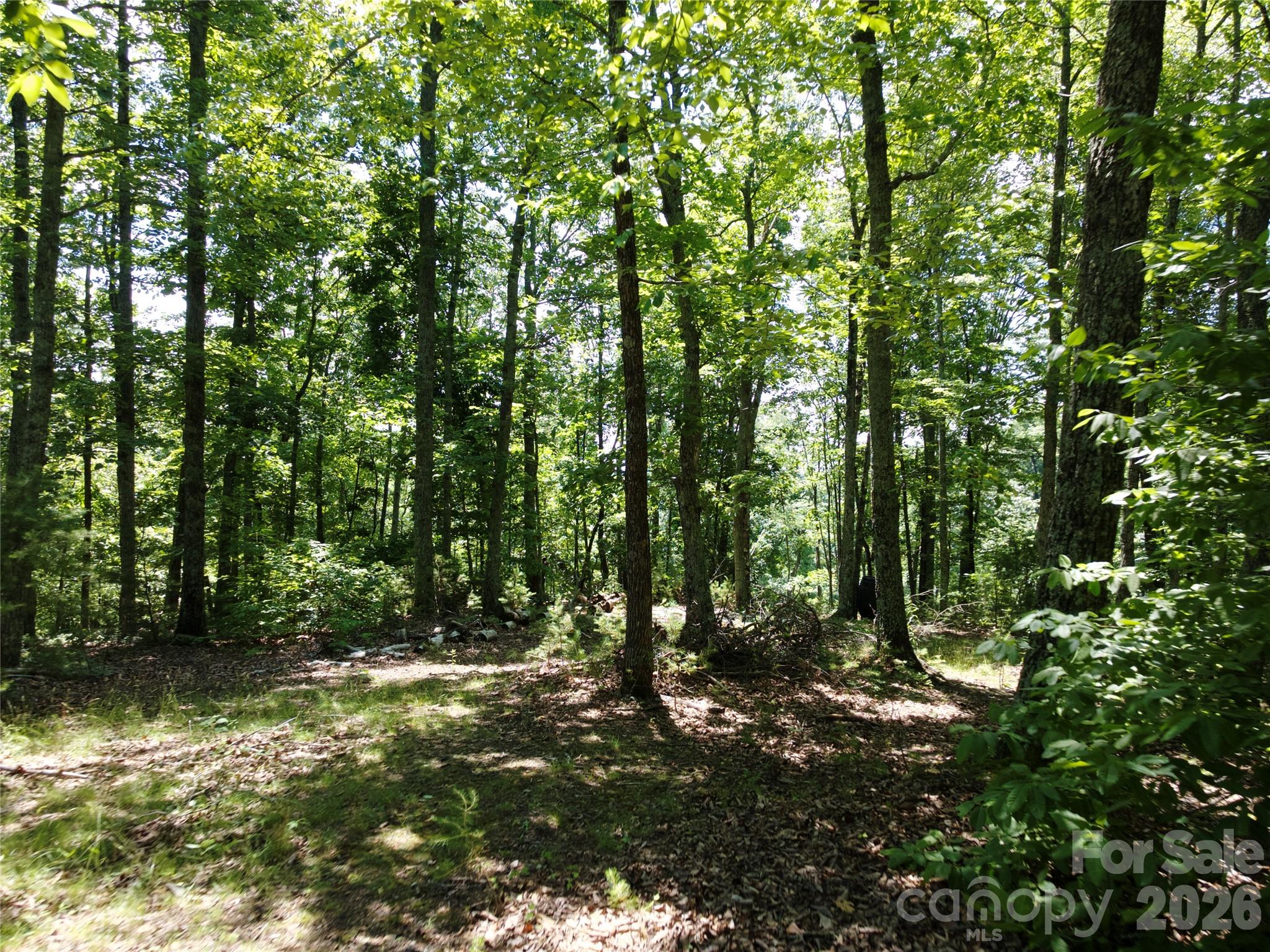 118 Upper Ridge Road Property Photo 10