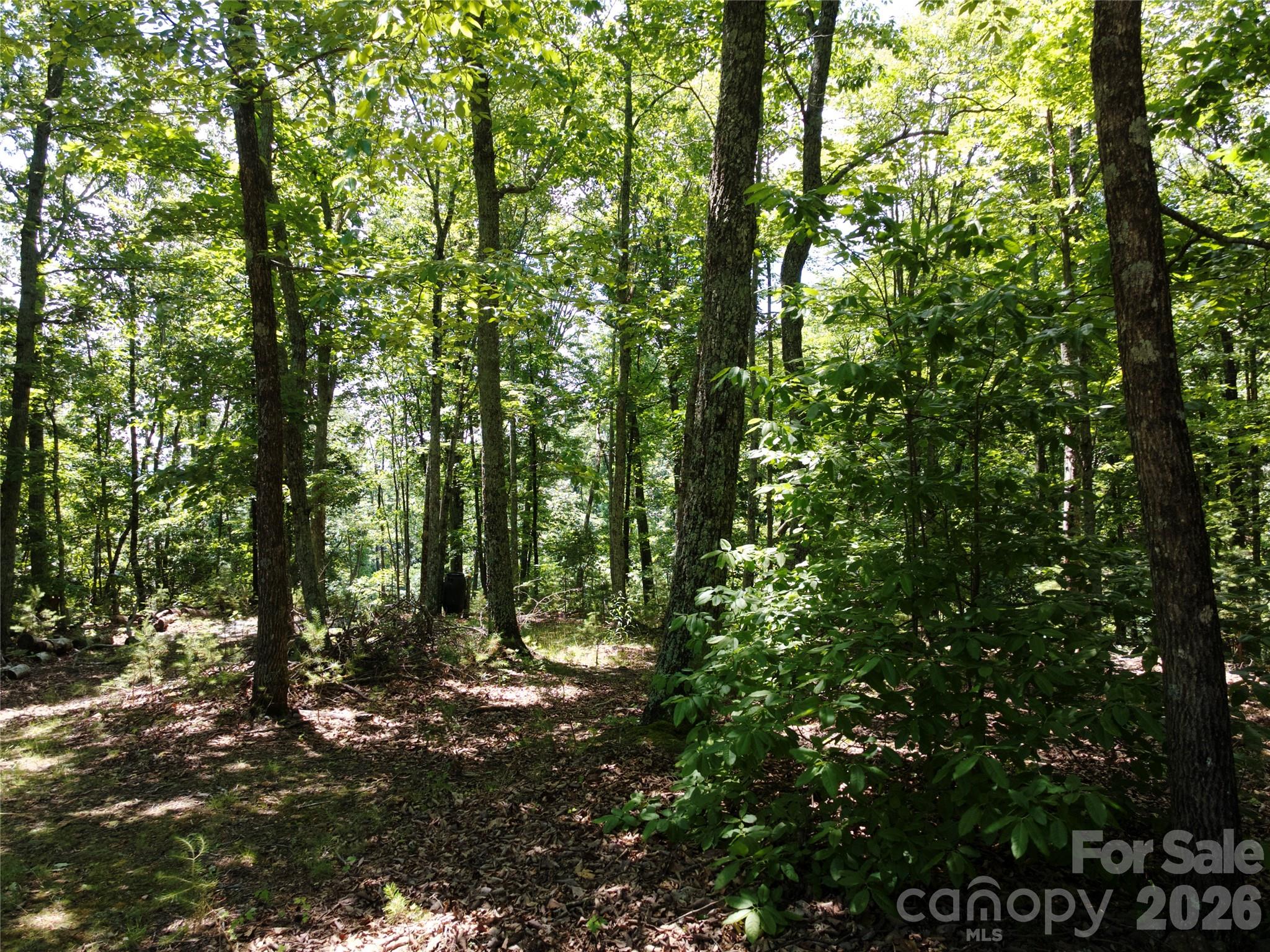 118 Upper Ridge Road Property Photo 11