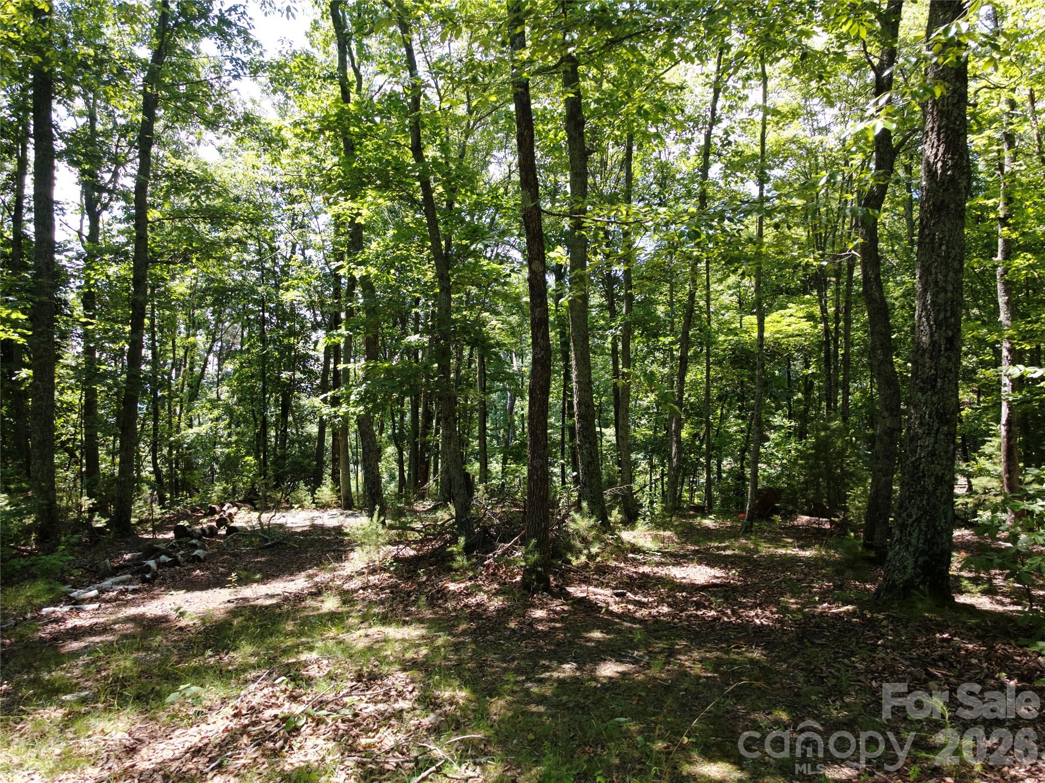 118 Upper Ridge Road Property Photo 12