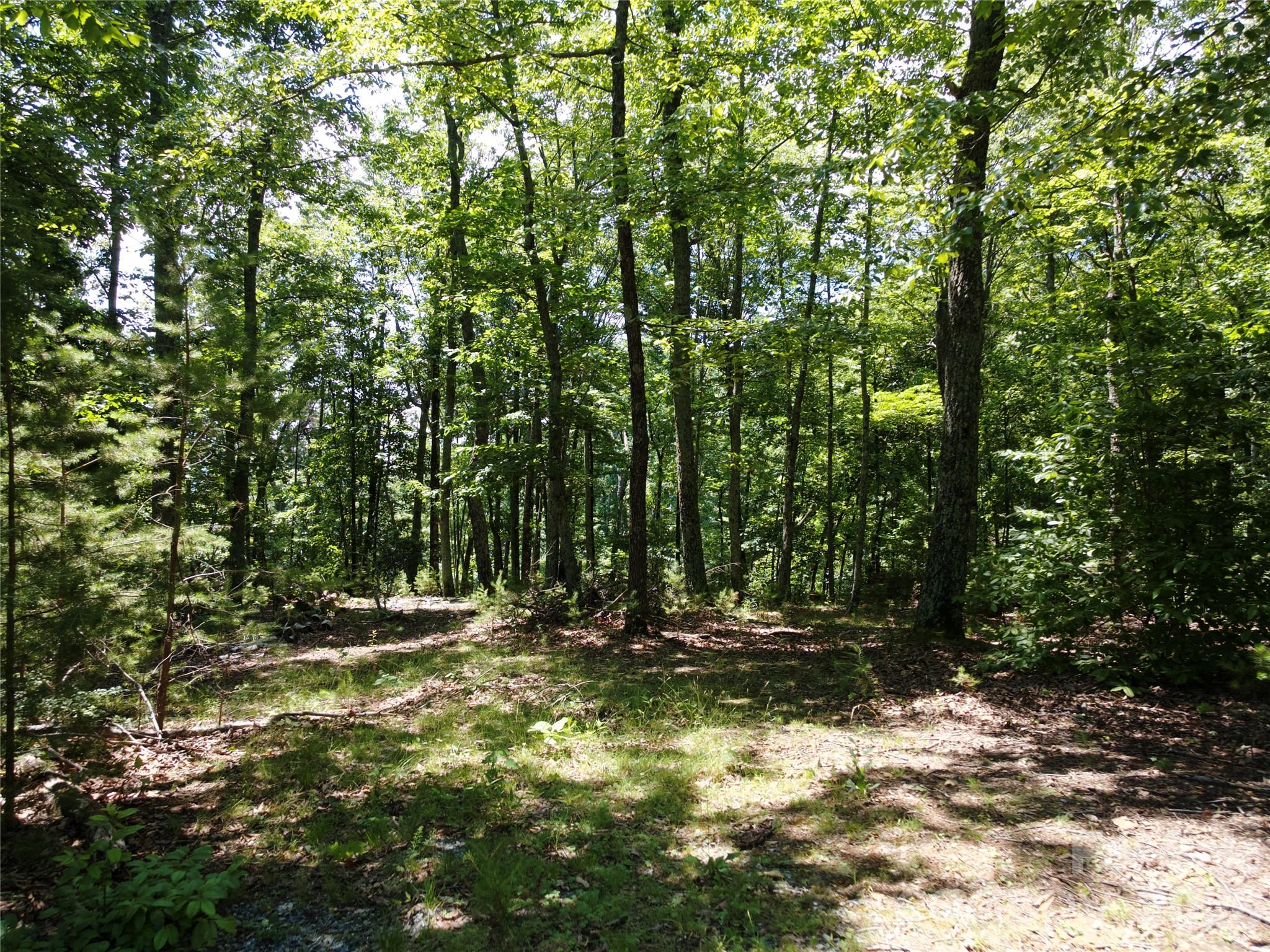 118 Upper Ridge Road Property Photo 13