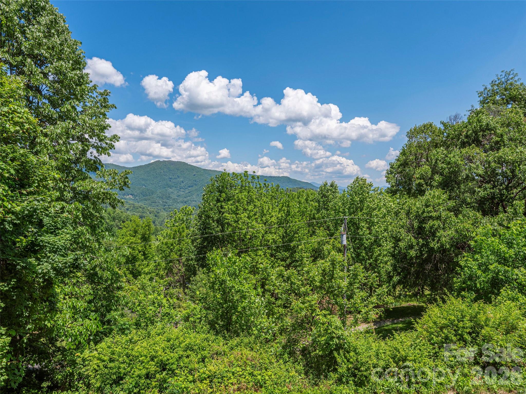 649 Acres View Drive Property Photo 8