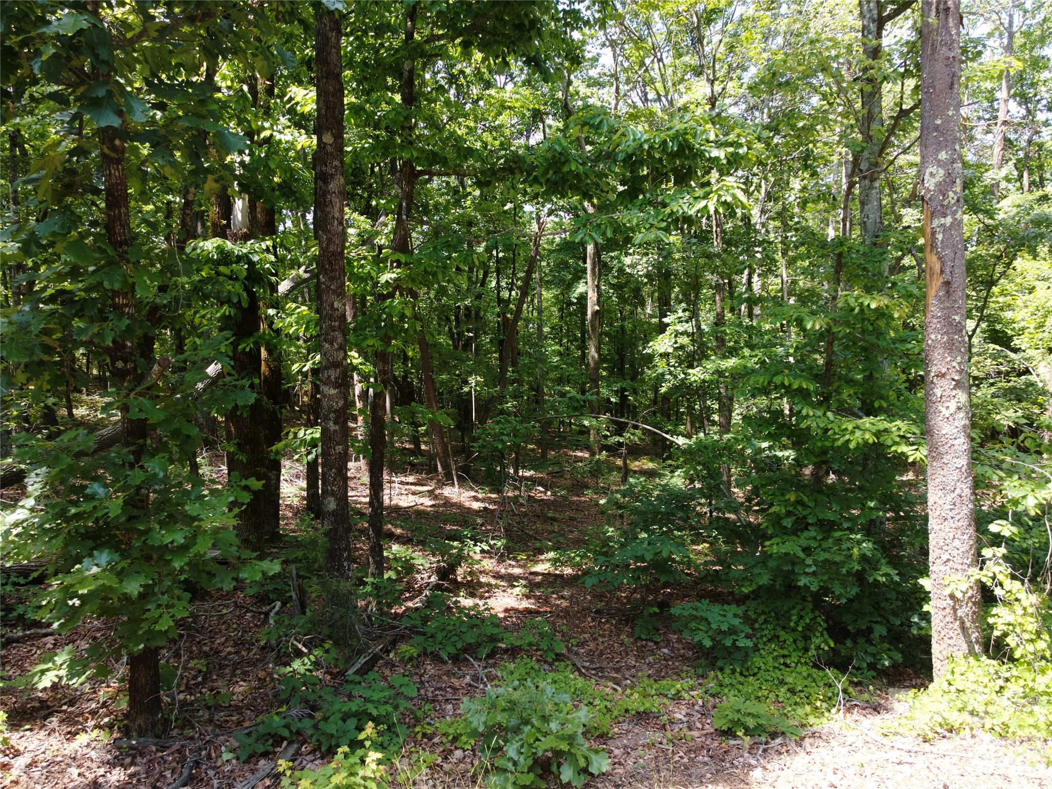 132 Valleyview Drive Property Photo 17