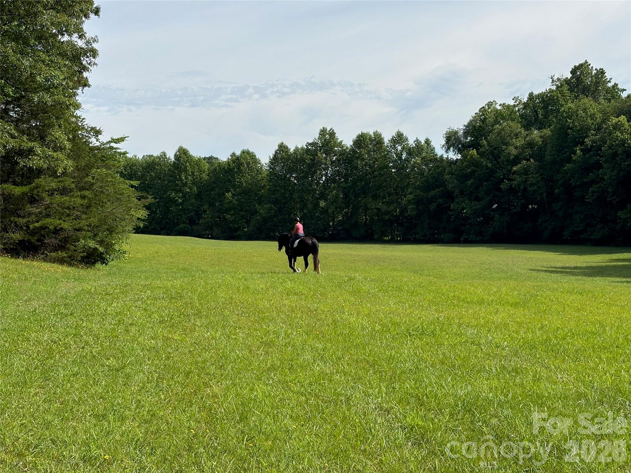 00 Green Fields Lane