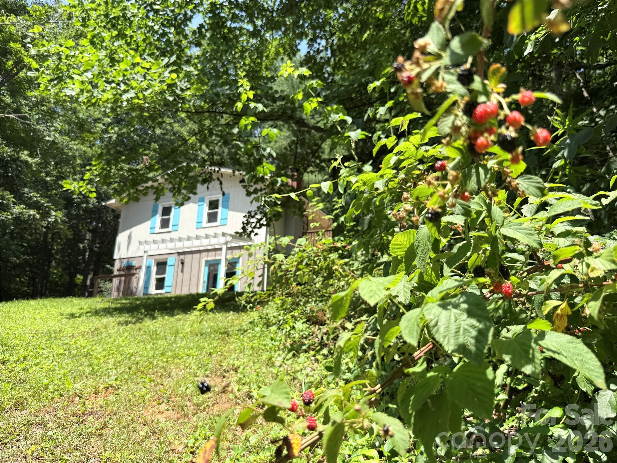 95 Walker Cove Road Property Photo 40