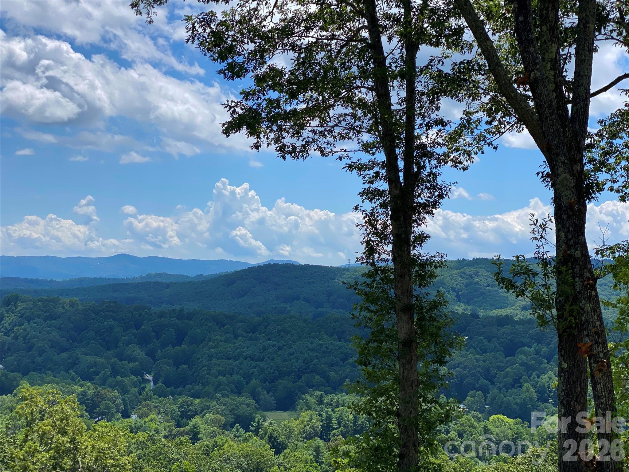 Lot E5 Marble Heights Trail Property Photo 2