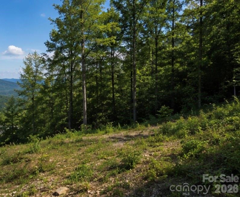 103 One Feather Road Property Photo 5