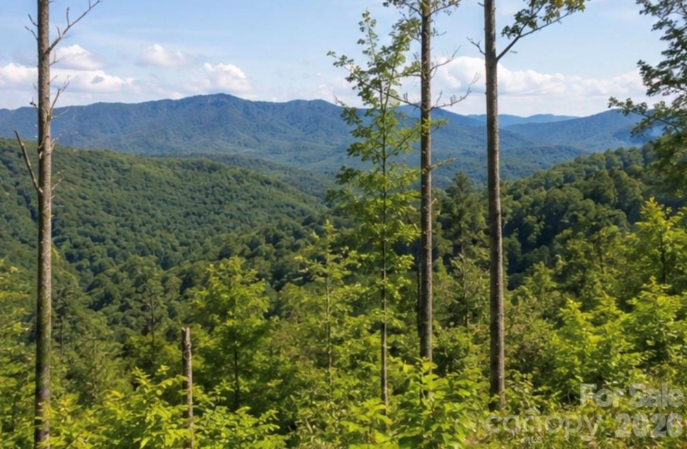 103 One Feather Road Property Photo 6