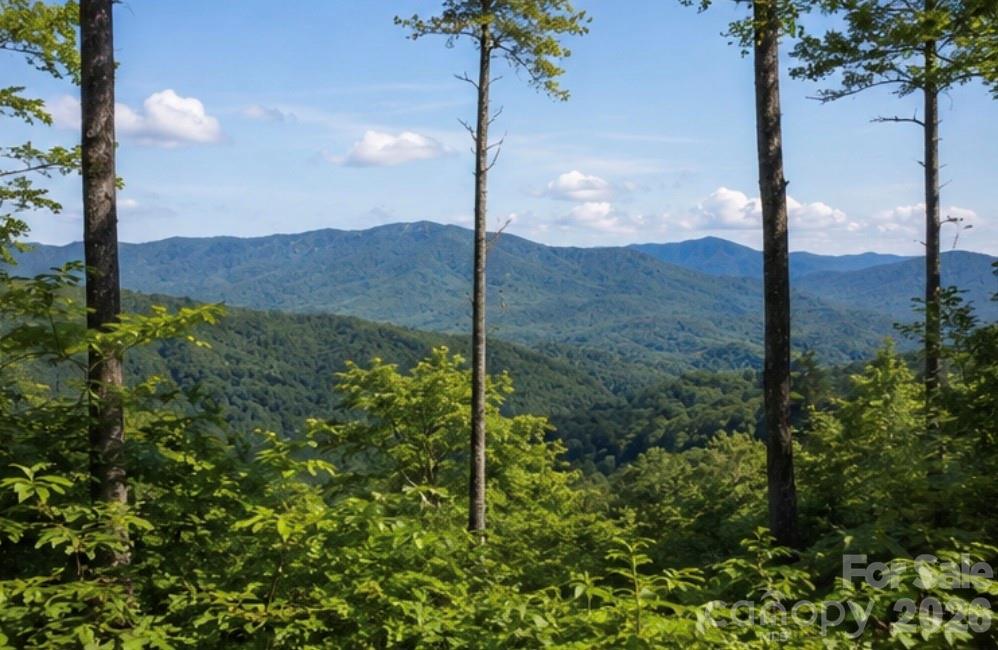 103 One Feather Road Property Photo 7