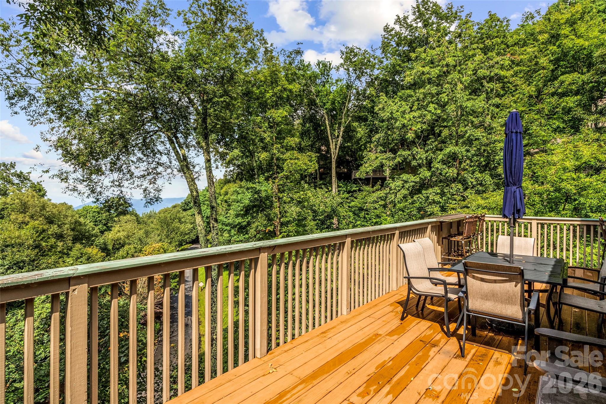 121 Ivy Ridge Road Property Photo 43