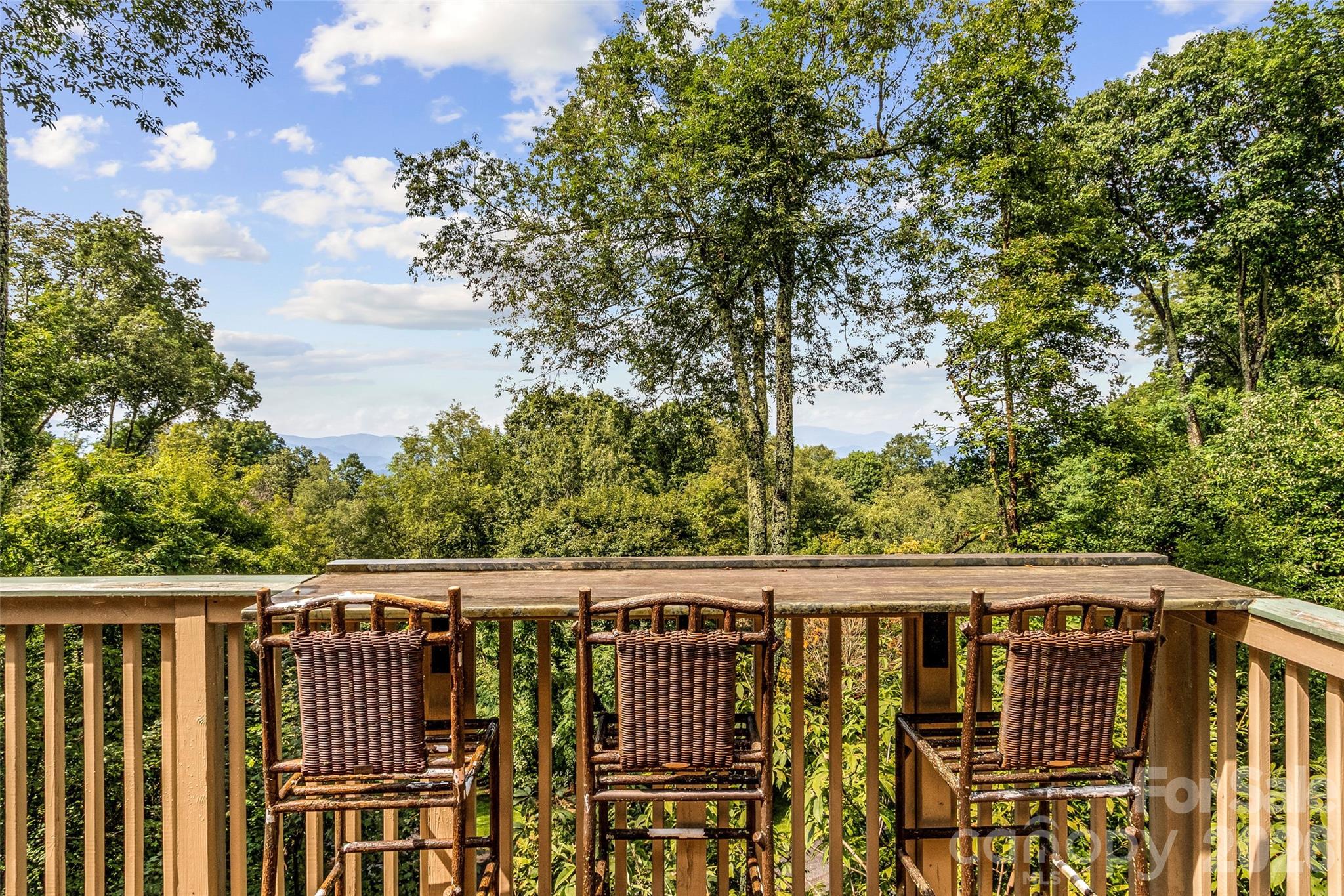 121 Ivy Ridge Road Property Photo 44