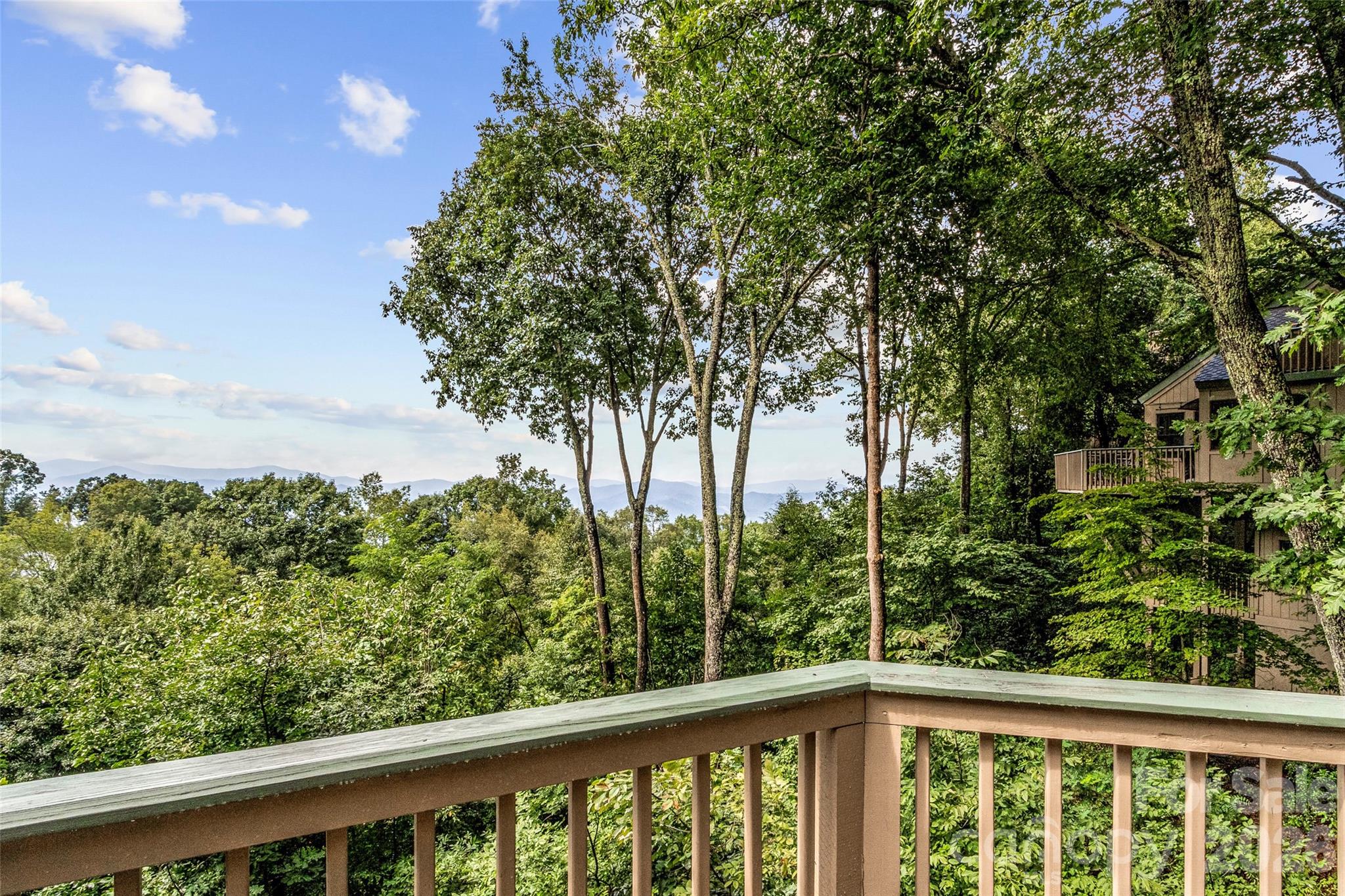 121 Ivy Ridge Road Property Photo 46