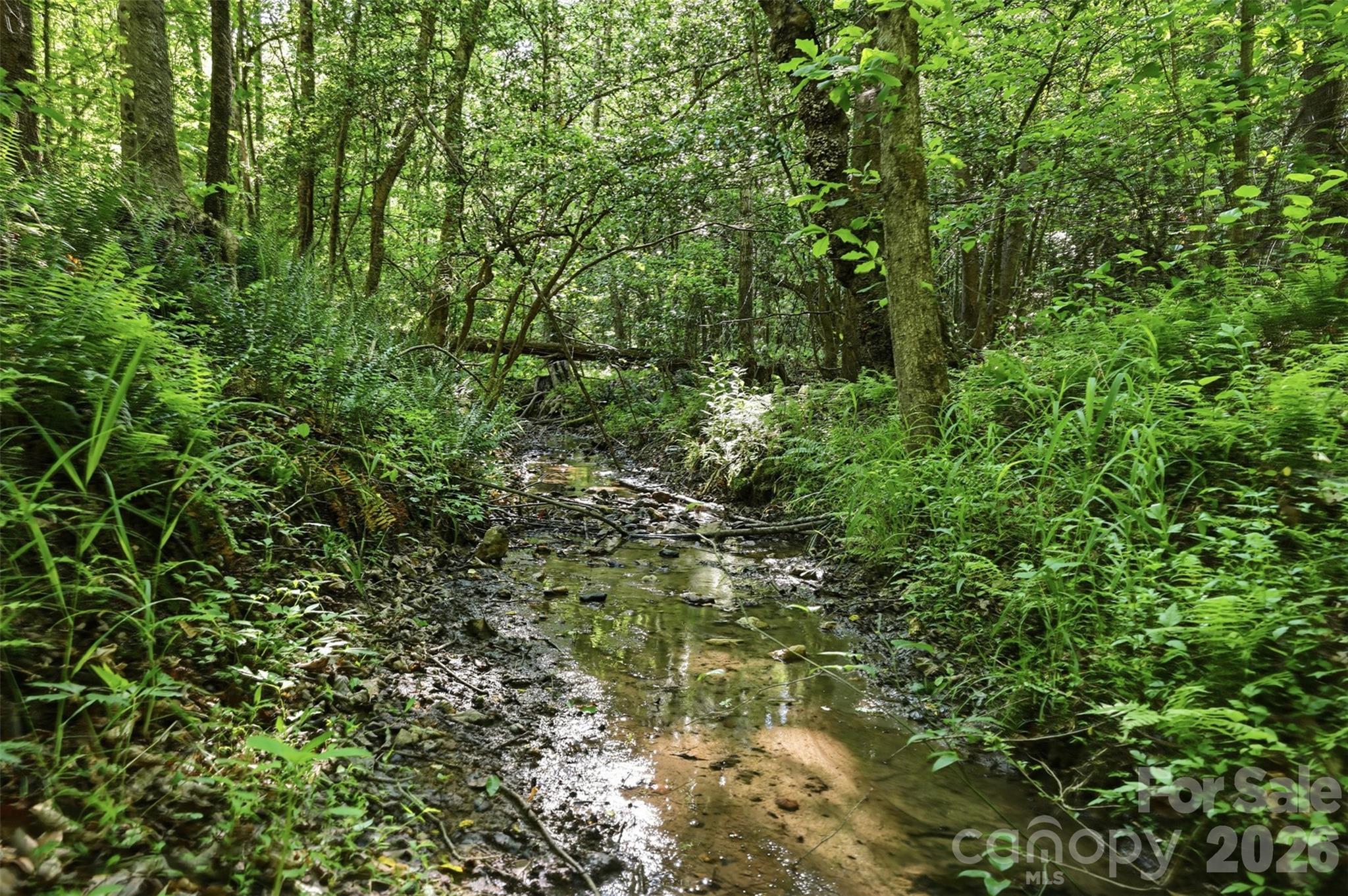 00 Black Oak Ridge Road Property Photo 2