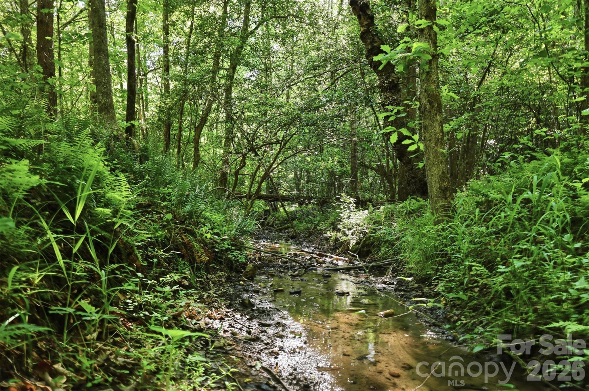 00 Black Oak Ridge Road Property Photo 9