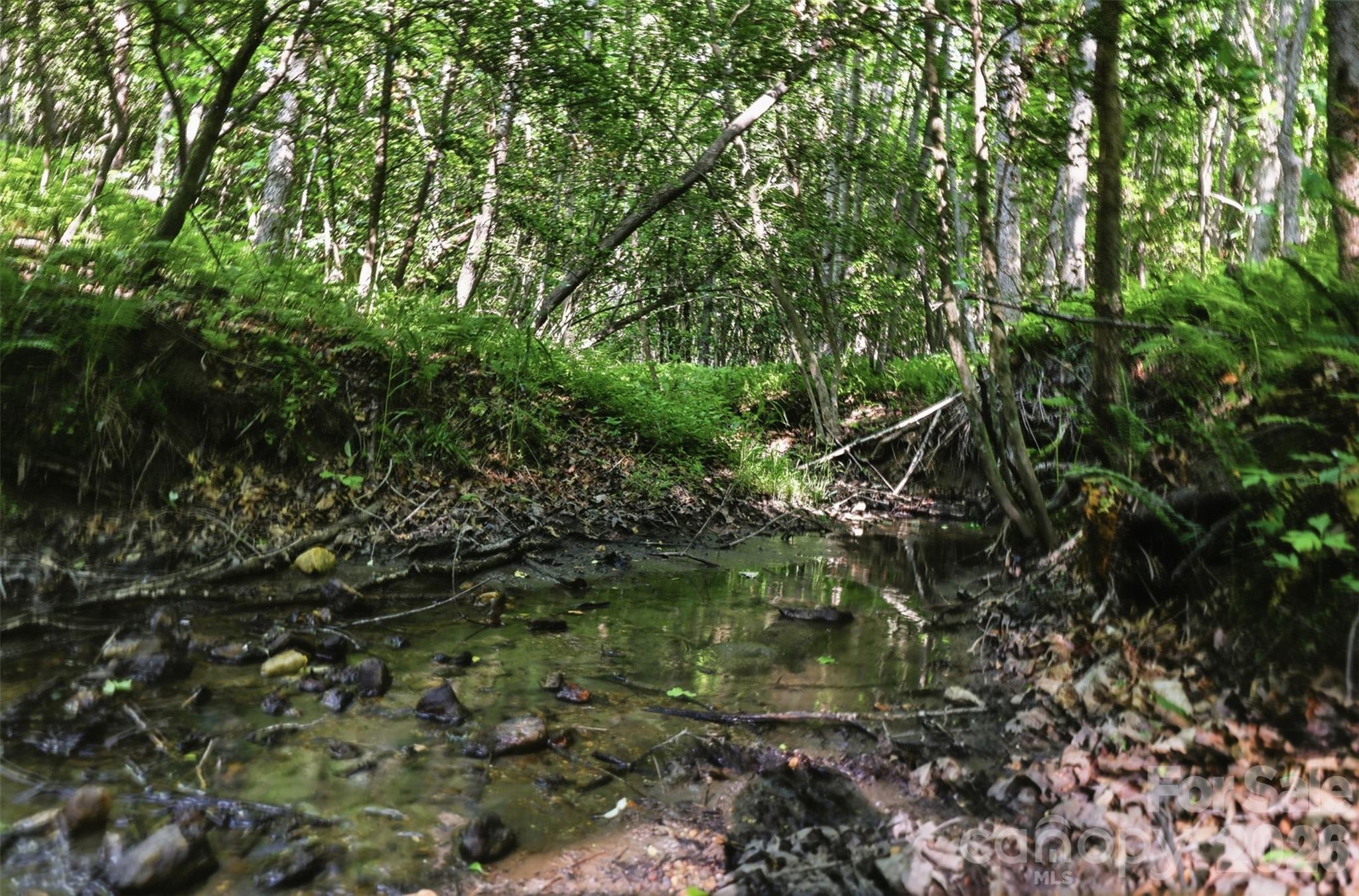 00 Black Oak Ridge Road Property Photo 10