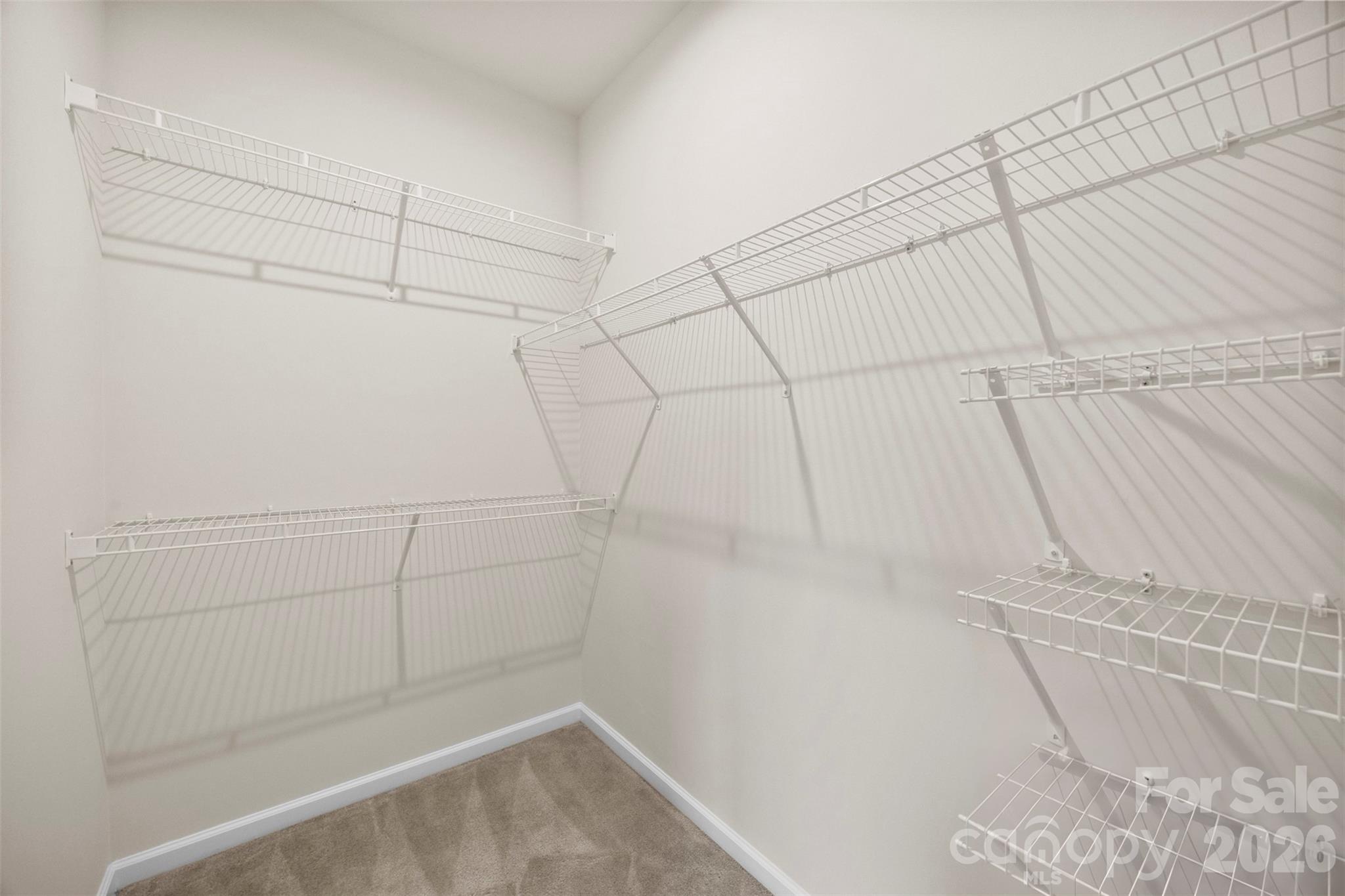11753 Blessington Road Property Photo 20