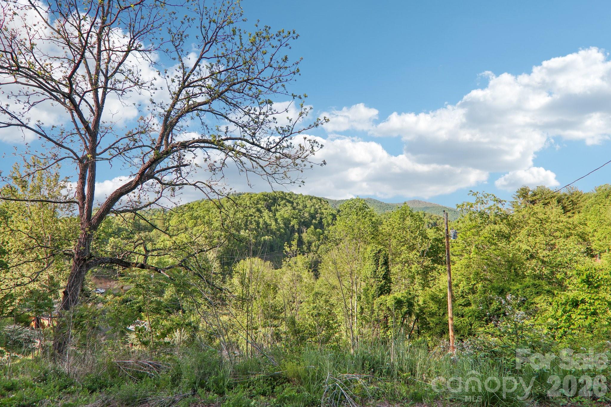 137 Red Maple Lane Property Photo 40