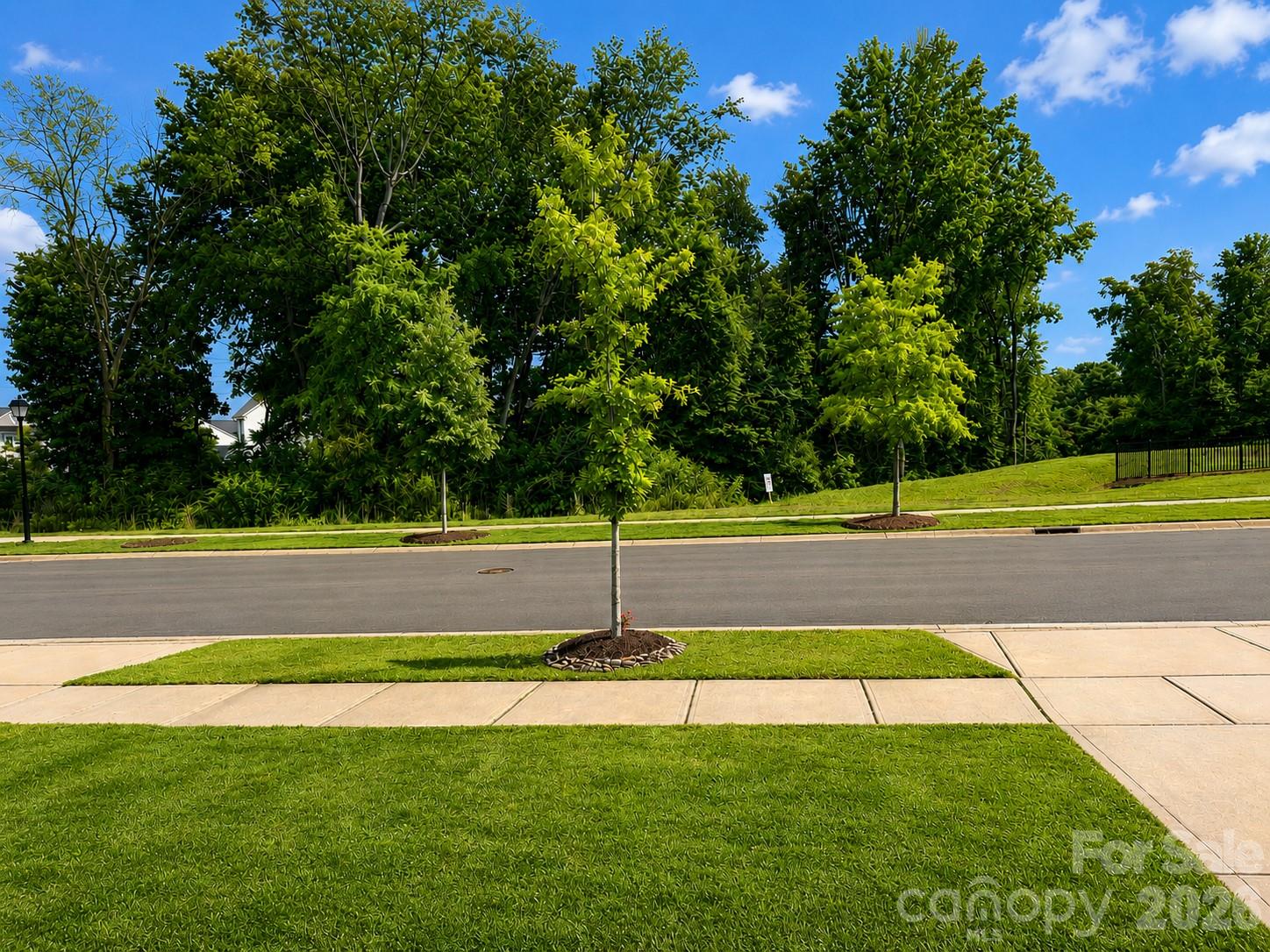 6629 Meridale Forest Drive Property Photo 26